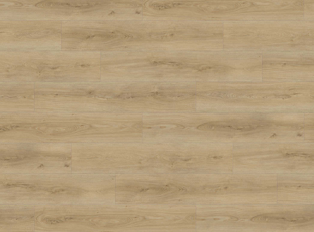 Produktbillede 5 Plank XL 4V Eg Sheffield puro* authentic