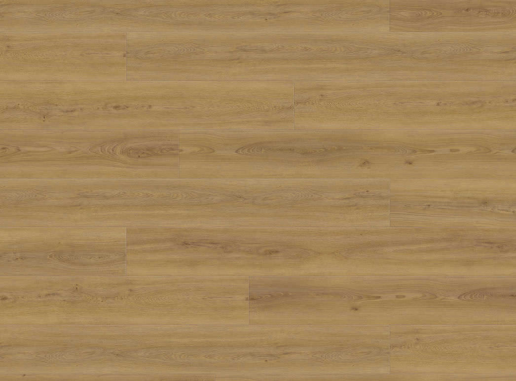 Produktbillede 3 Plank XL 4V Eg Sheffield honning* authentic