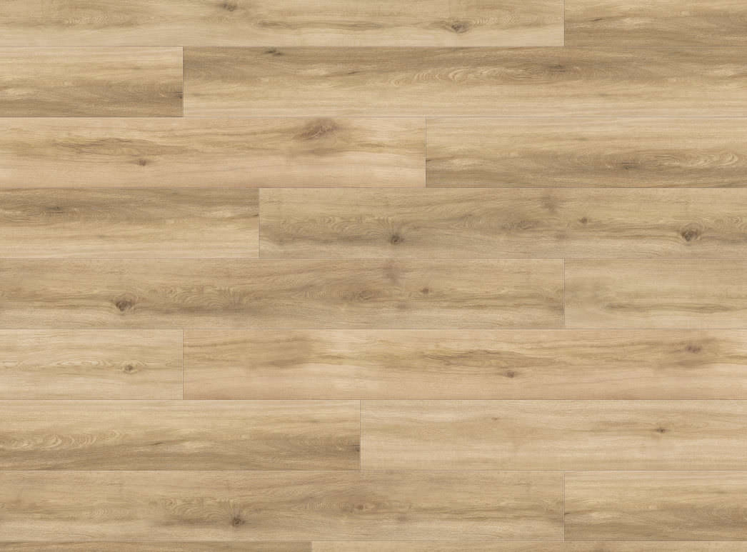 Produktbillede 3 Plank XL 4V Eg Provence puro* authentic