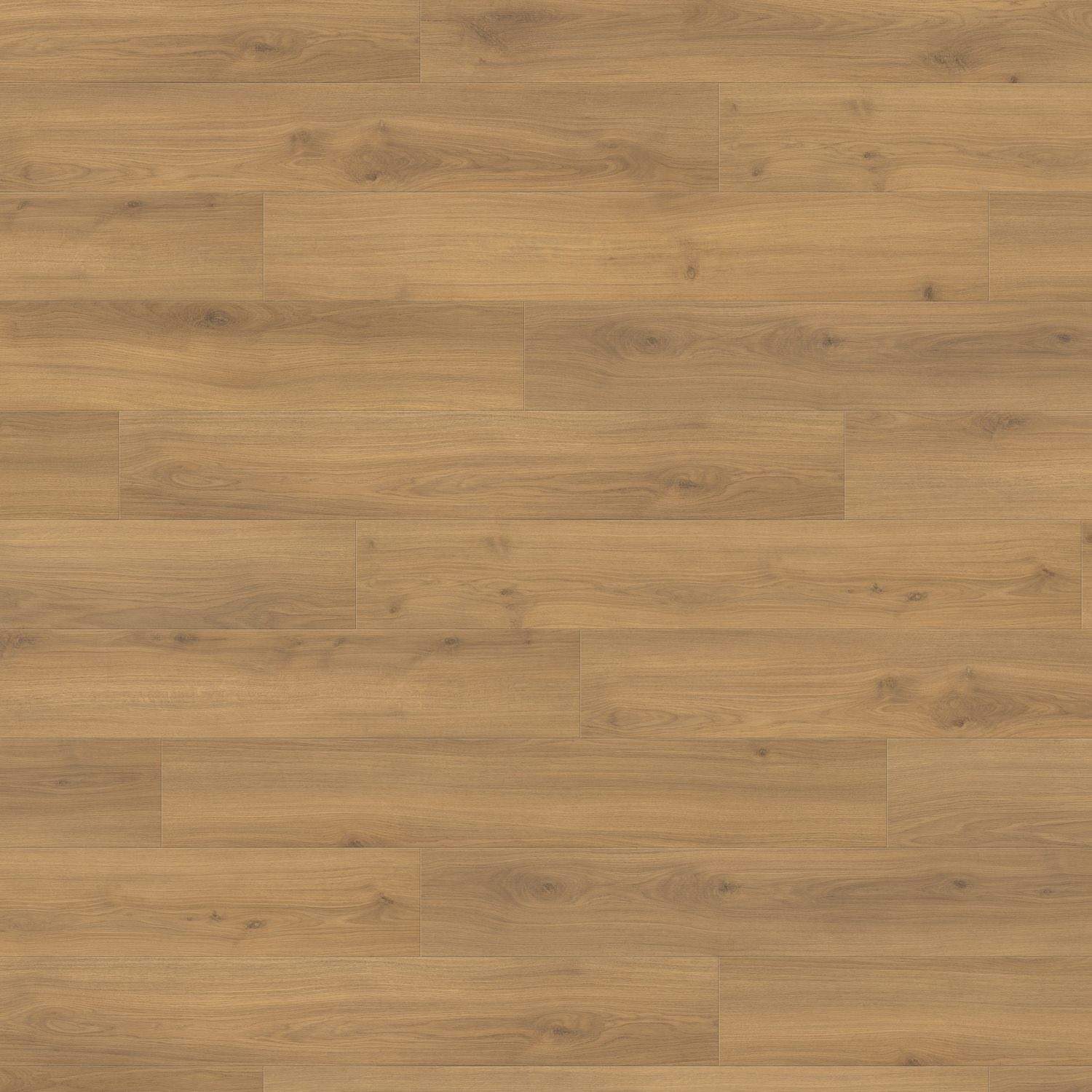 HARO Laminatgulv TRITTY 100 Plank 4V Eg Emilia Honning* authentic soft Top Connect
