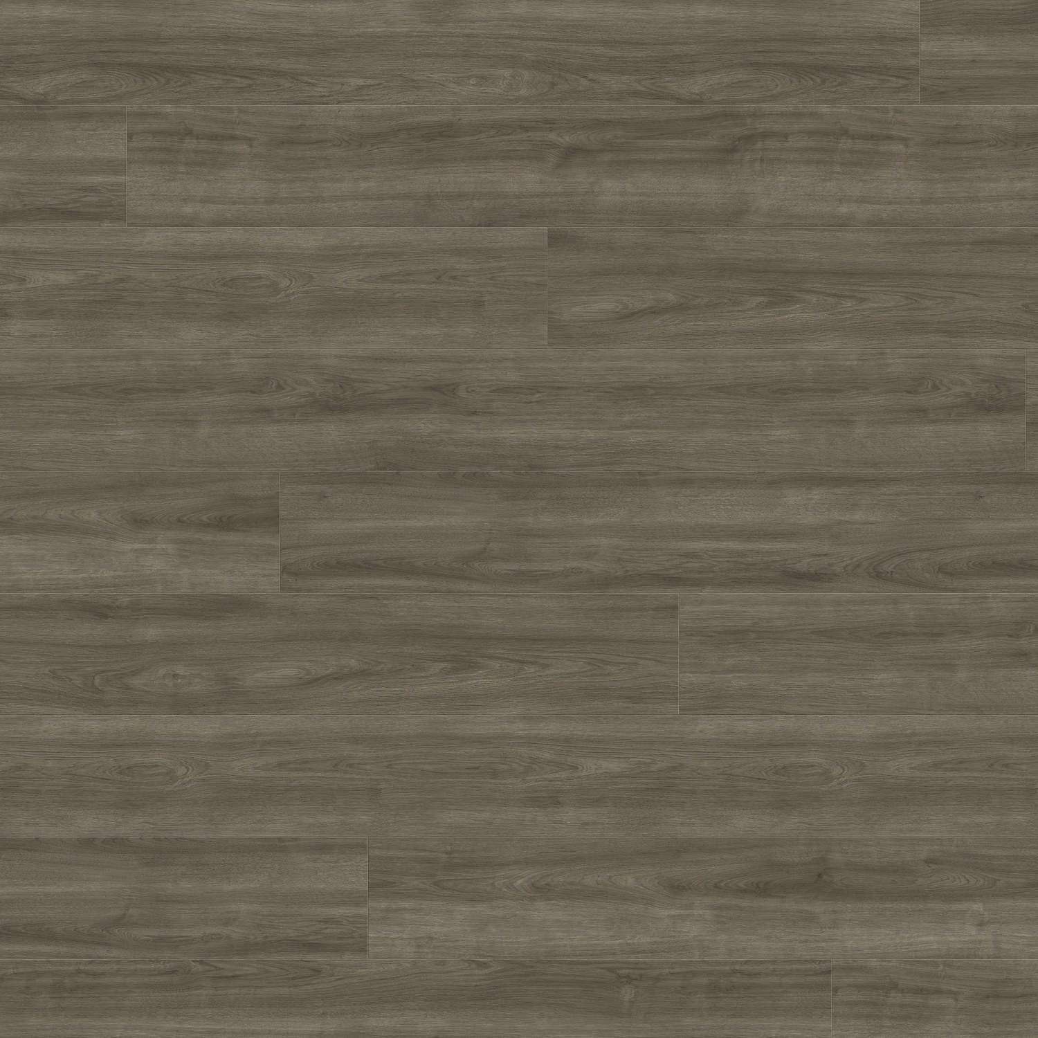 HARO Laminatgulv TRITTY 100 Gran Via 4V Eg Eleganza antikgrå* authentic Top Connect