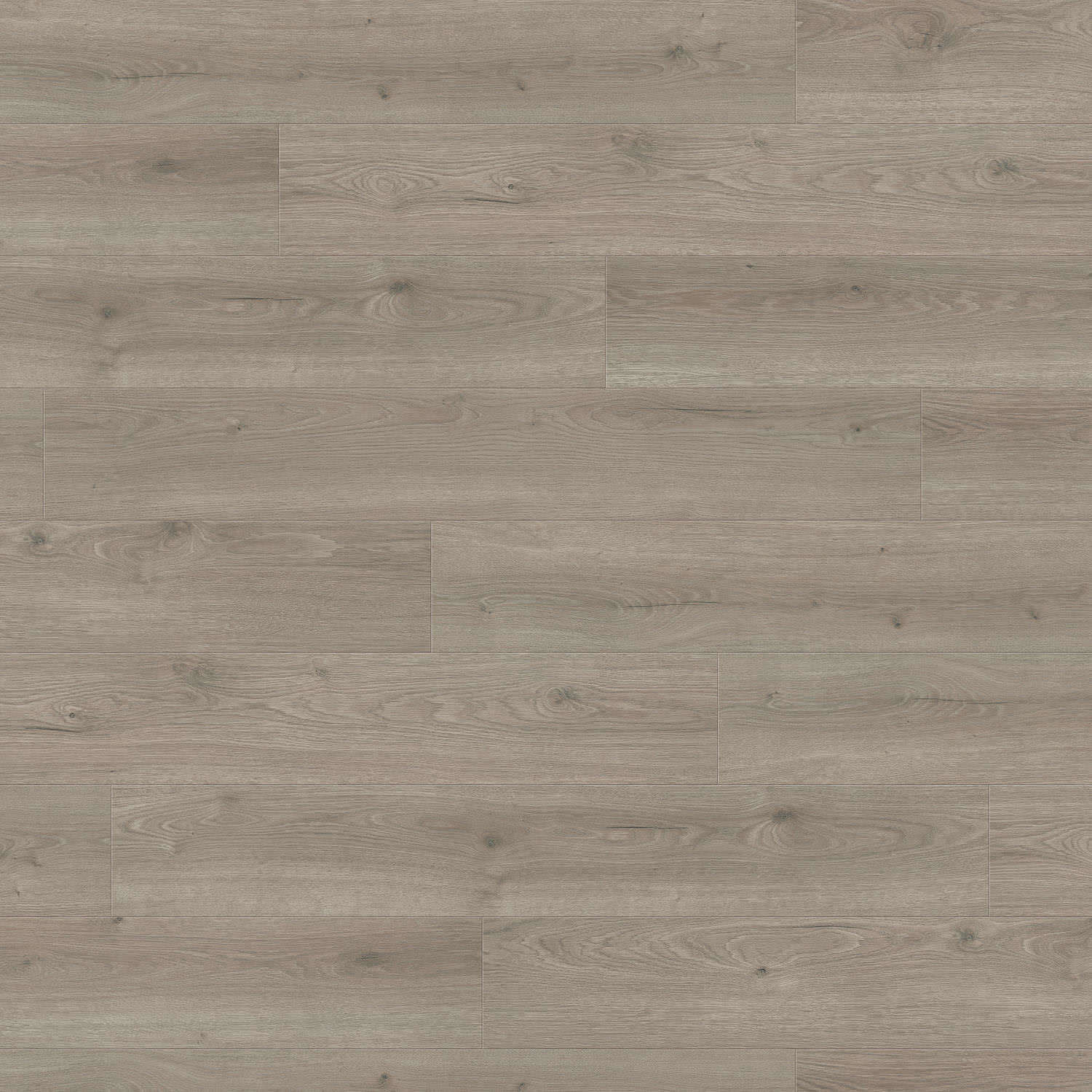 HARO Laminatgulv TRITTY 100 Plank 4V Eg Flavia grå* authentic Top Connect