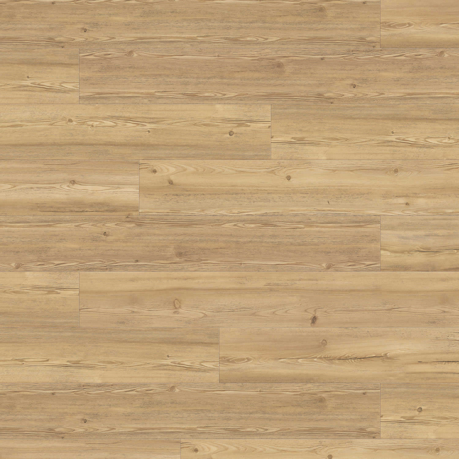 DISANO by HARO LifeAqua Plank XL 4V Bjerglærk puro* børstet Top Connect