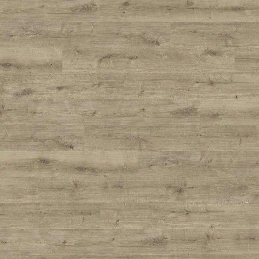 Produktbild HARO Laminatgulv Specialudgave NKL32 Plank 4V Eg Calla puro* b&oslash;rstet Silent Pro Top Connect