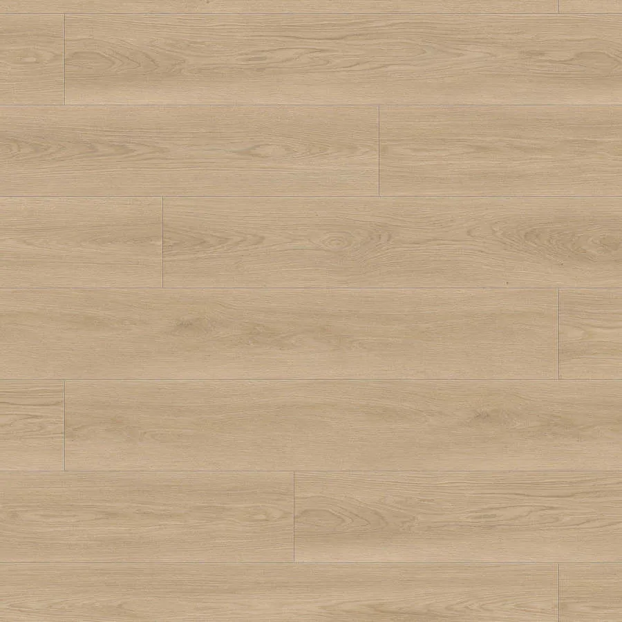 Produktbild DISANO by HARO LifeAqua Plank XL 4V Eg Picardie puro* authentic Top Connect