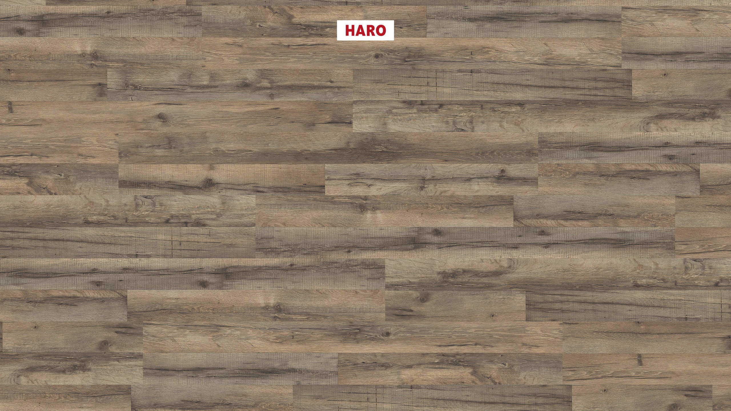 HARO Laminatgulv Specialudgave NKL31 2-stav Grafiteg* børstet mat Lock Connect plus