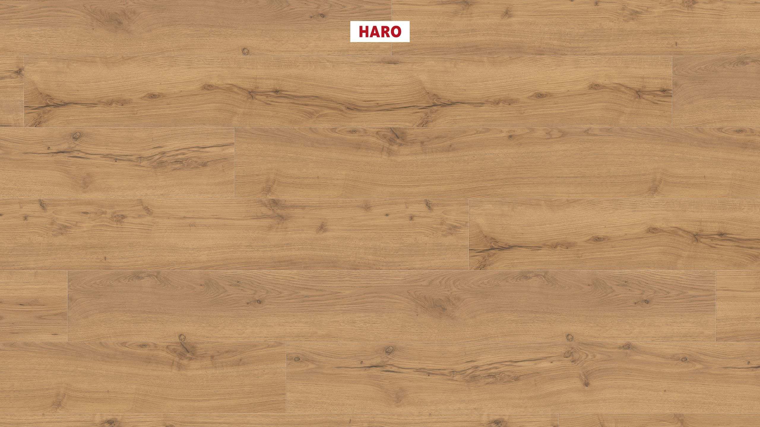 HARO Laminatgulv TRITTY 100 Gran Via 4V Alpineg natur* authentic matt Silent Pro Top Connect