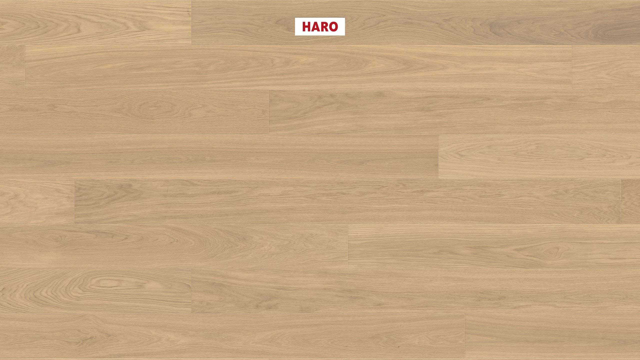 HARO PARKETGULV 4000 Plank 180 4V Eg purohvid Exklusiv børstet naturaLin plus Top Connect