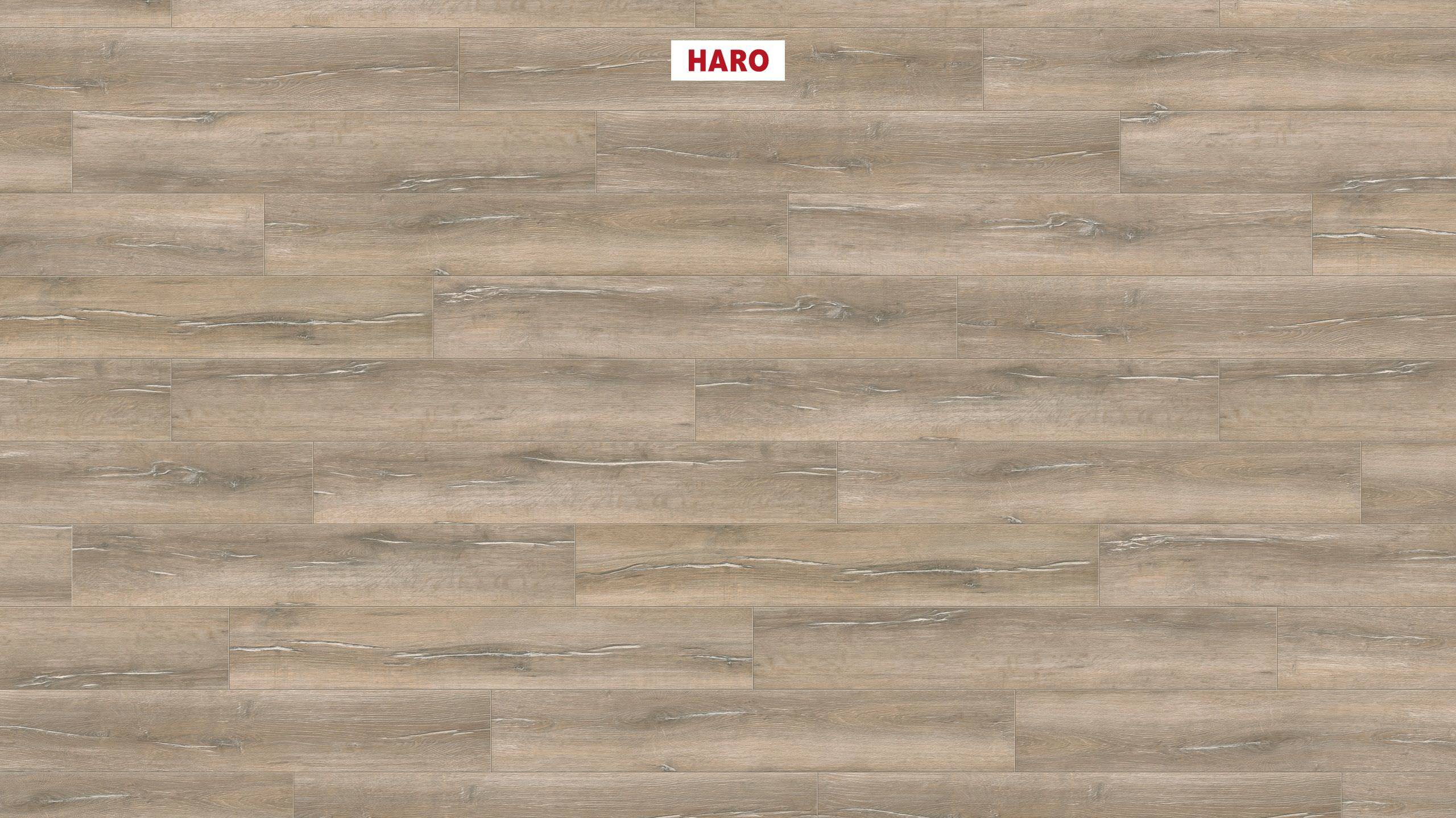 HARO CORKETT Arteo XL 4V Eg duna* børstet permaDur Top Connect