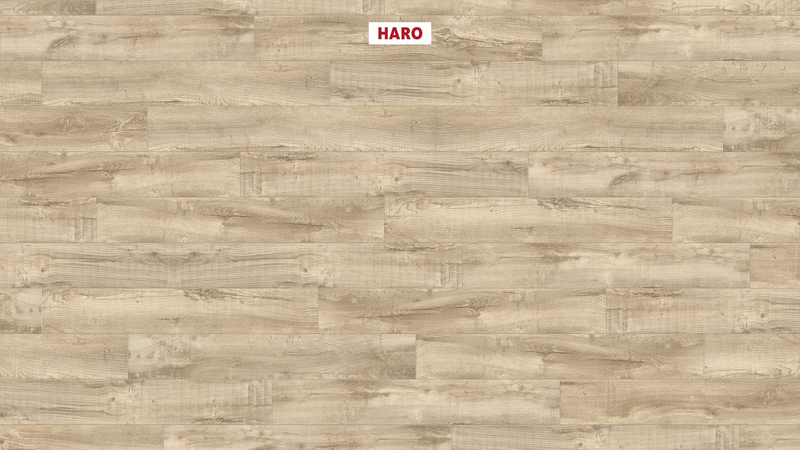 HARO CORKETT Arteo XL 4V Shabby Oak hvid* børstet permaDur Top Connect
