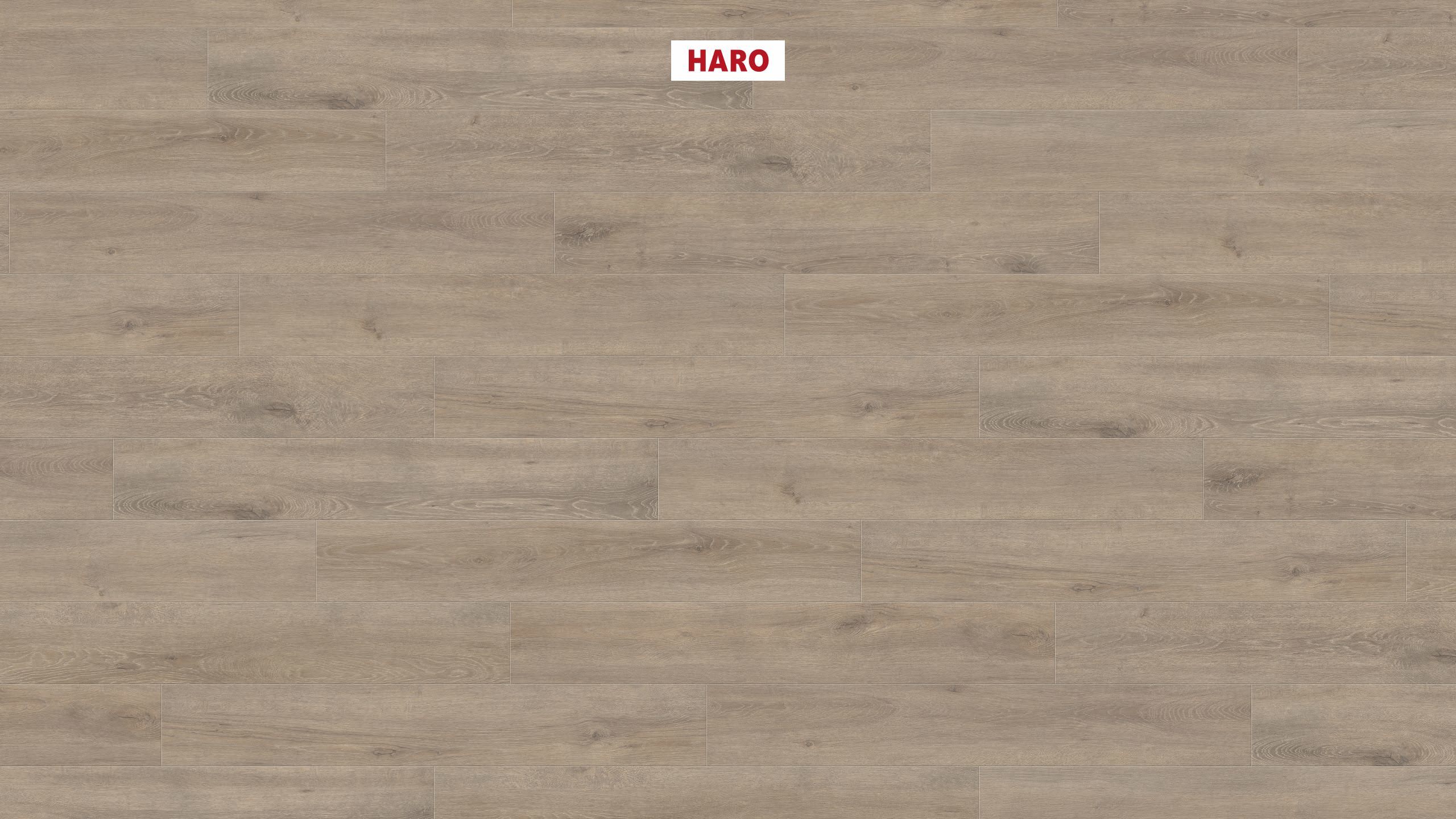 HARO Laminatgulv TRITTY 200 Aqua Plank 4V Eg Veneto mocca* authentic matt Silent Pro Top Connect
