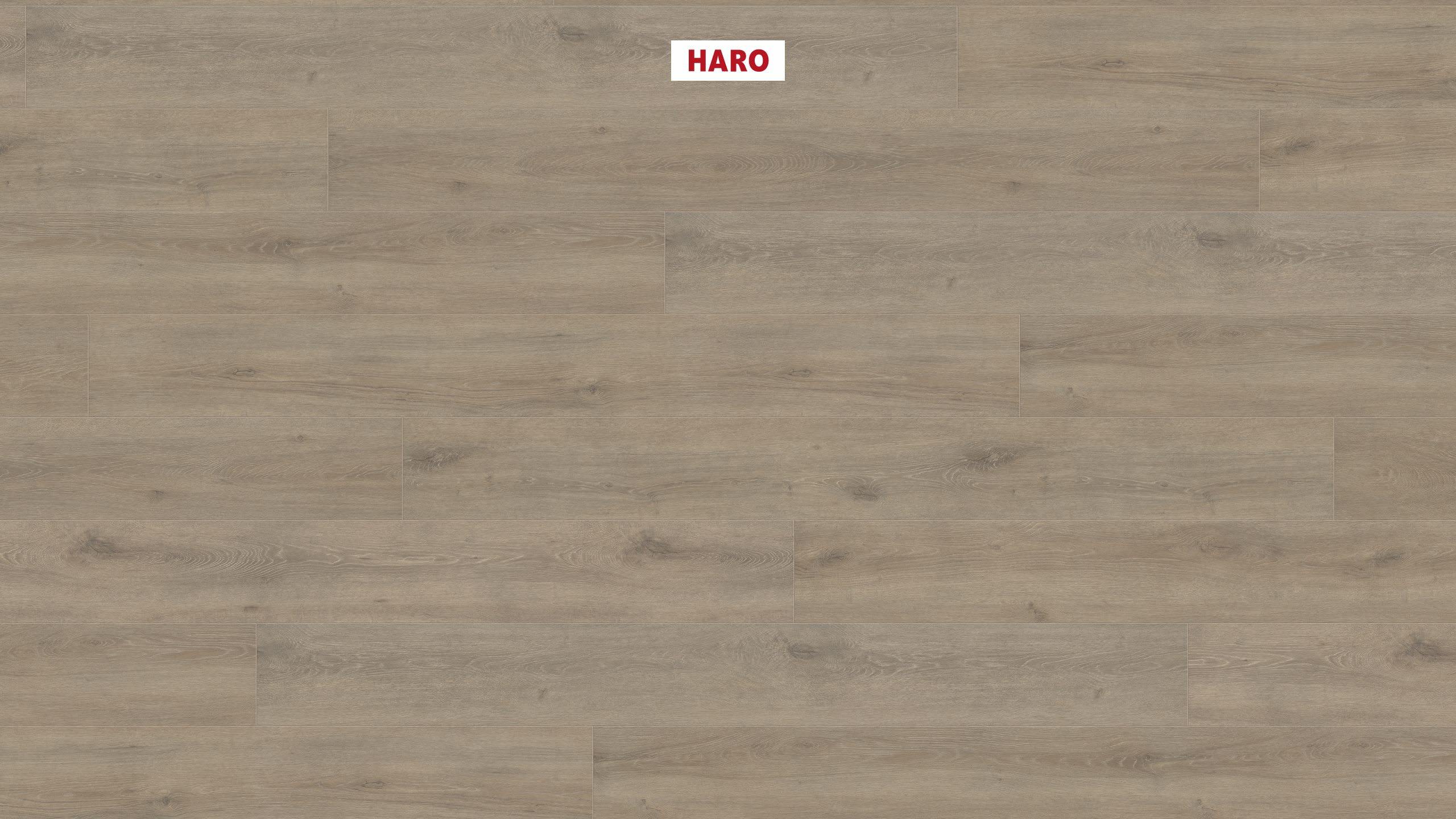 HARO Laminatgulv TRITTY 200 Aqua Gran Via 4V Eg Veneto mocca* authentic matt Silent CT Top Connect