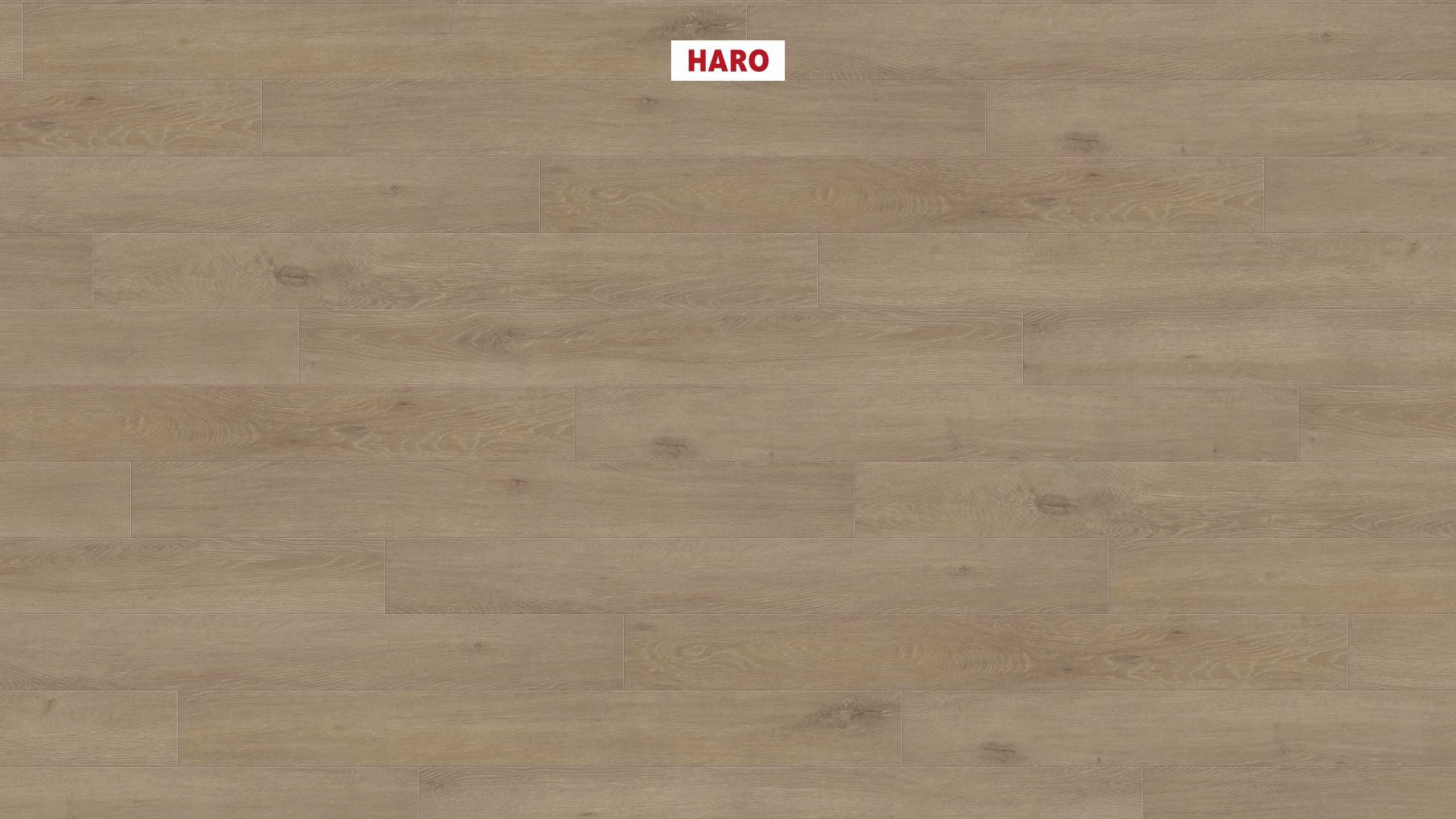 HARO Laminatgulv TRITTY 100 Loft 4V Eg Veneto crema* authentic matt Silent Pro Top Connect