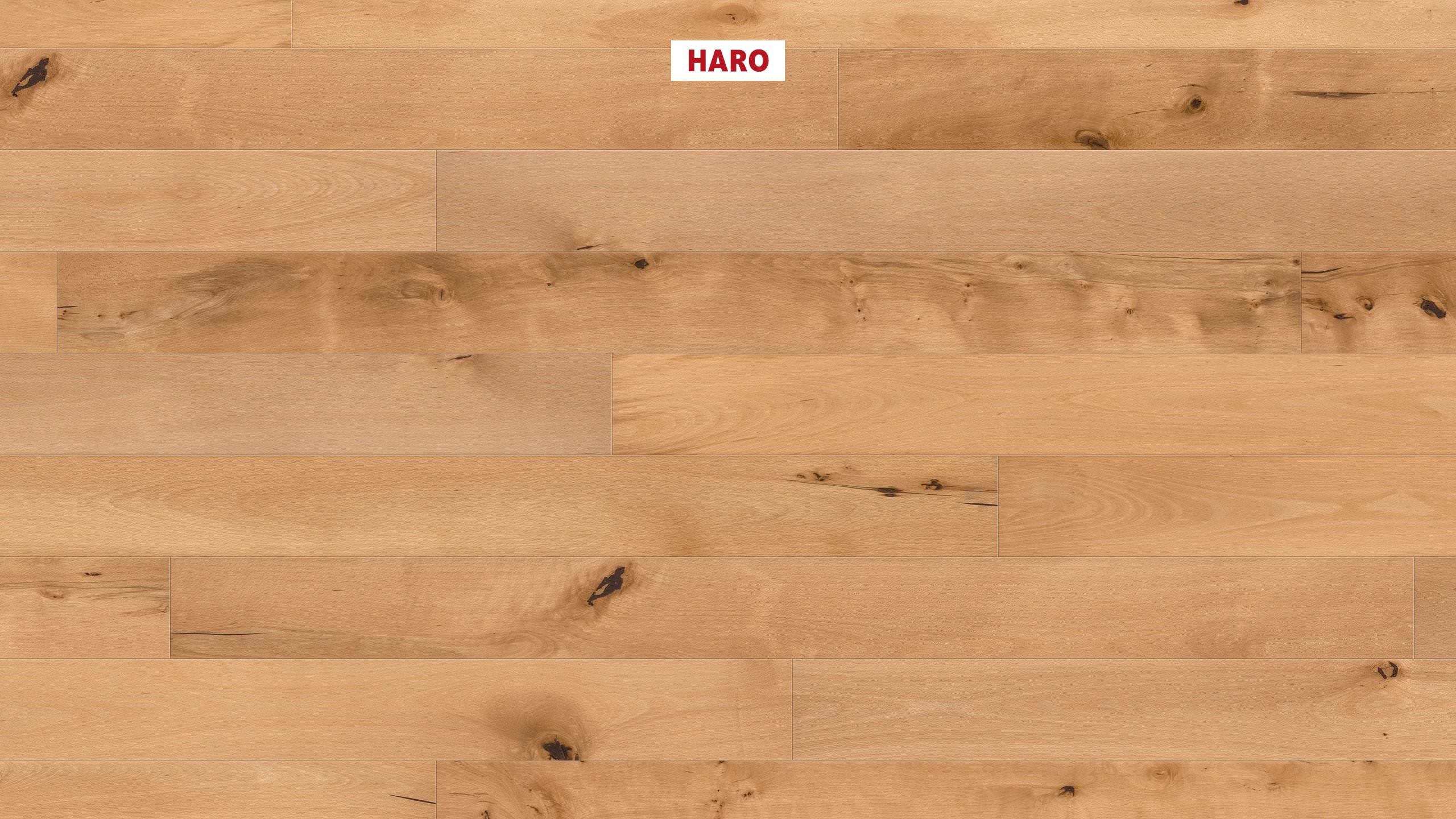 HARO PARKETGULV 4000 Plank 180 4V Bøg dampet Universal børstet naturaLin plus Top Connect