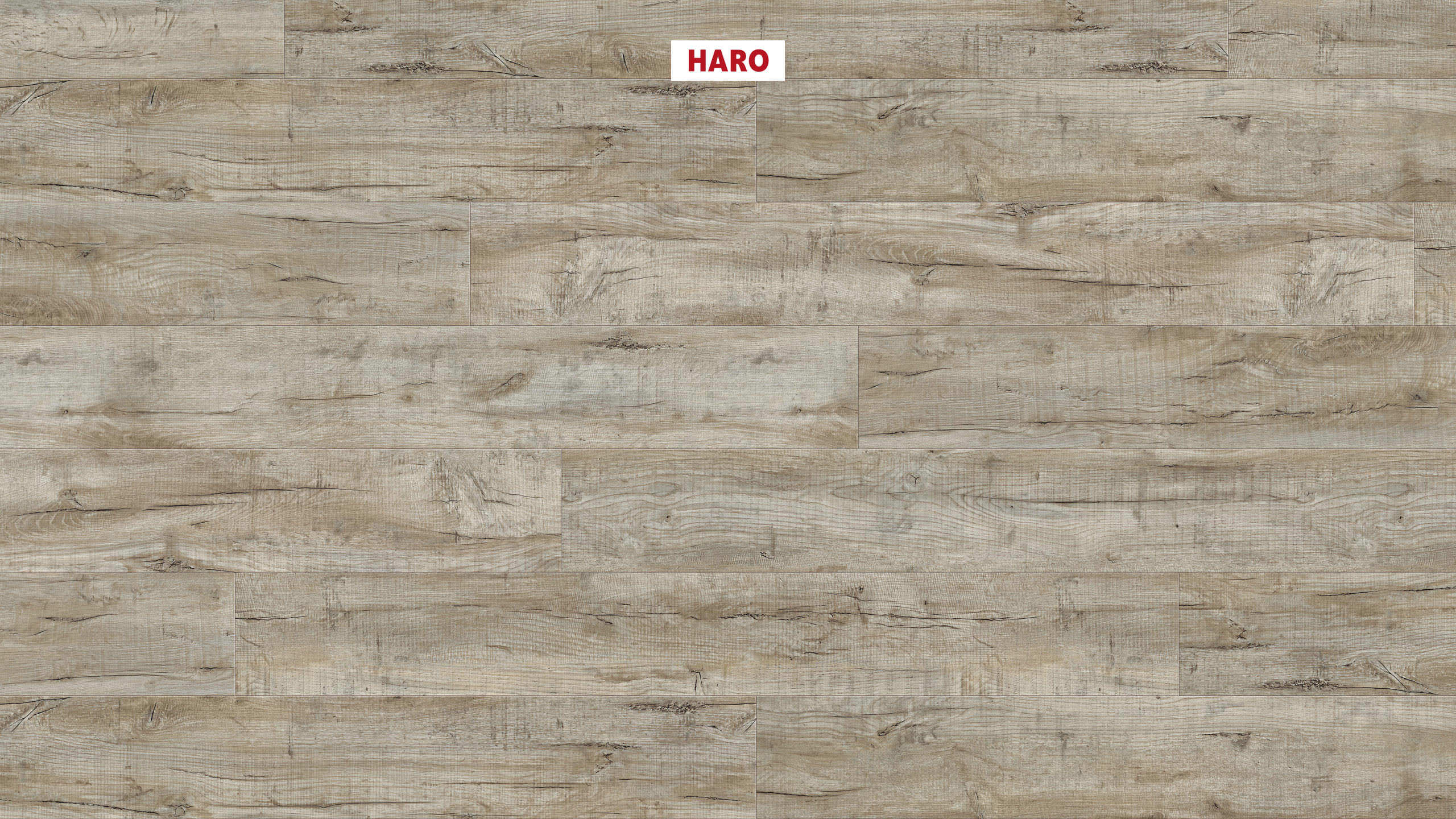 DISANO by HARO LifeAqua Plank XL 4V Eg cardiff hvid* børstet Top Connect