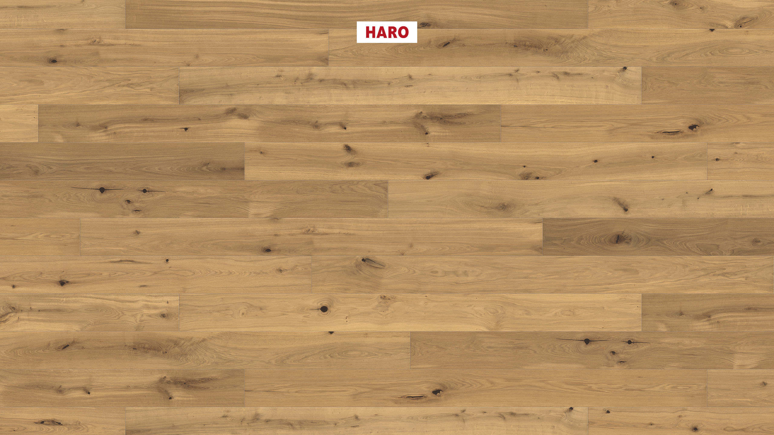 HARO PARKETGULV 4000 Plankegulv Maxim 4V Eg Invisible Sauvage børstet naturaLin plus Not & fer