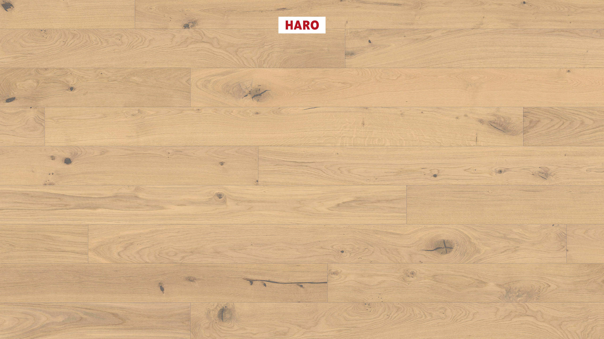 HARO PARKETGULV 4000 Plankegulv Maxim 4V Eg invisible Sauvage børstet naturaDur Not & fer