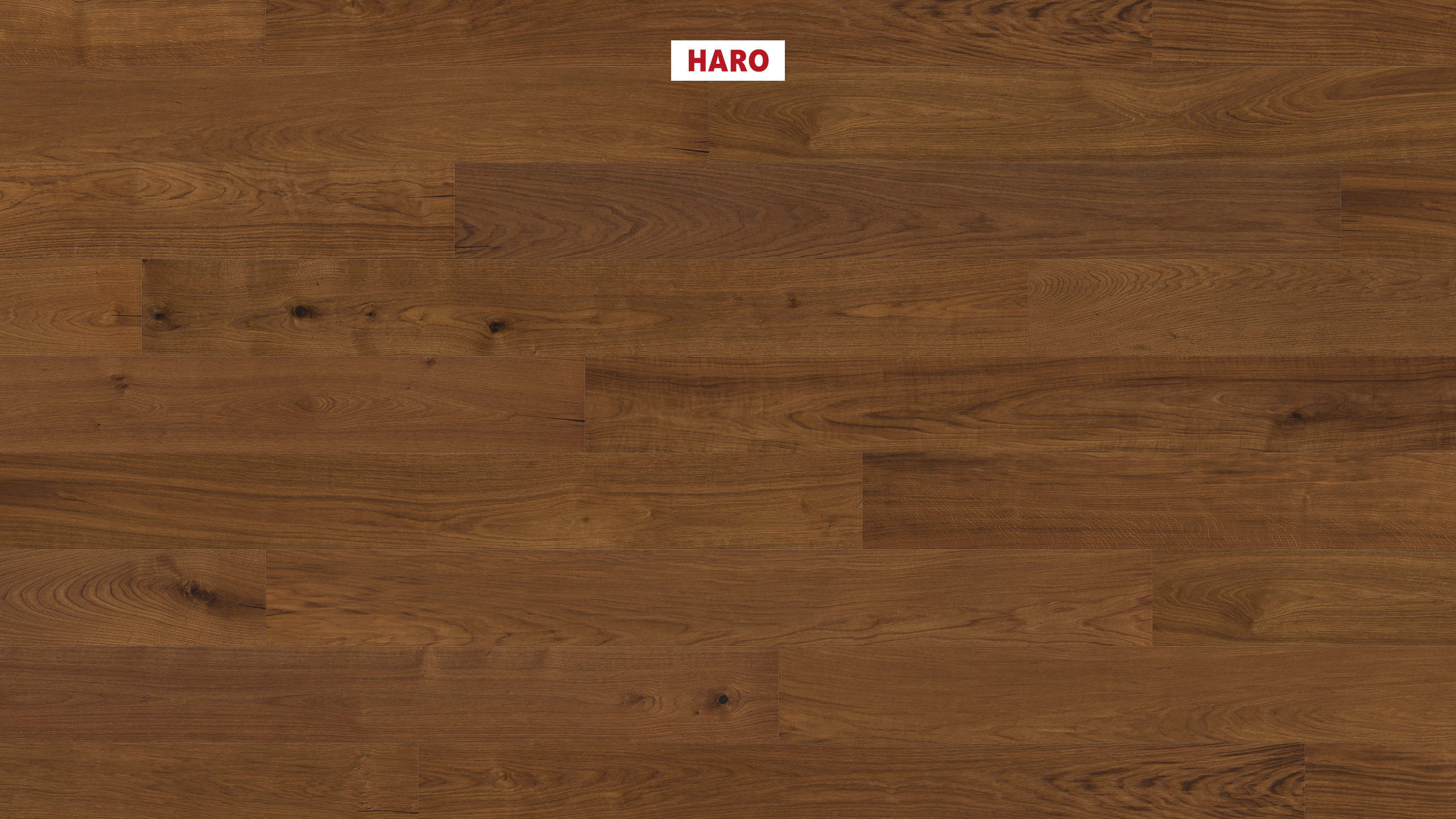 HARO PARKETGULV 4000 Plank Plaza 240 4V Røget eg Sauvage børstet naturaLin plus Top Connect
