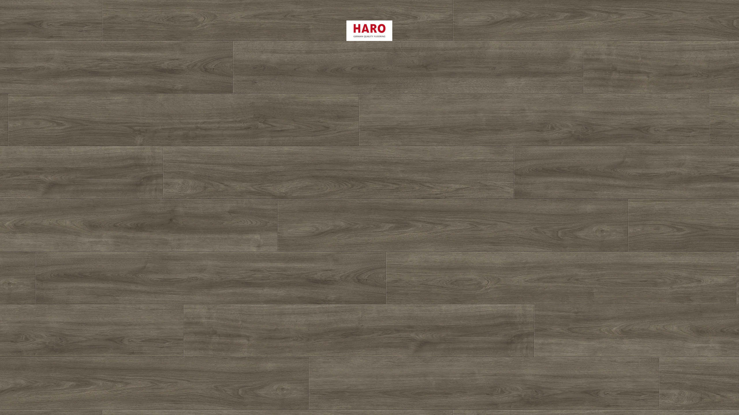 HARO Laminatgulv TRITTY 200 Aqua Plank 4V Eg Eleganza antikgrå* authentic Top Connect