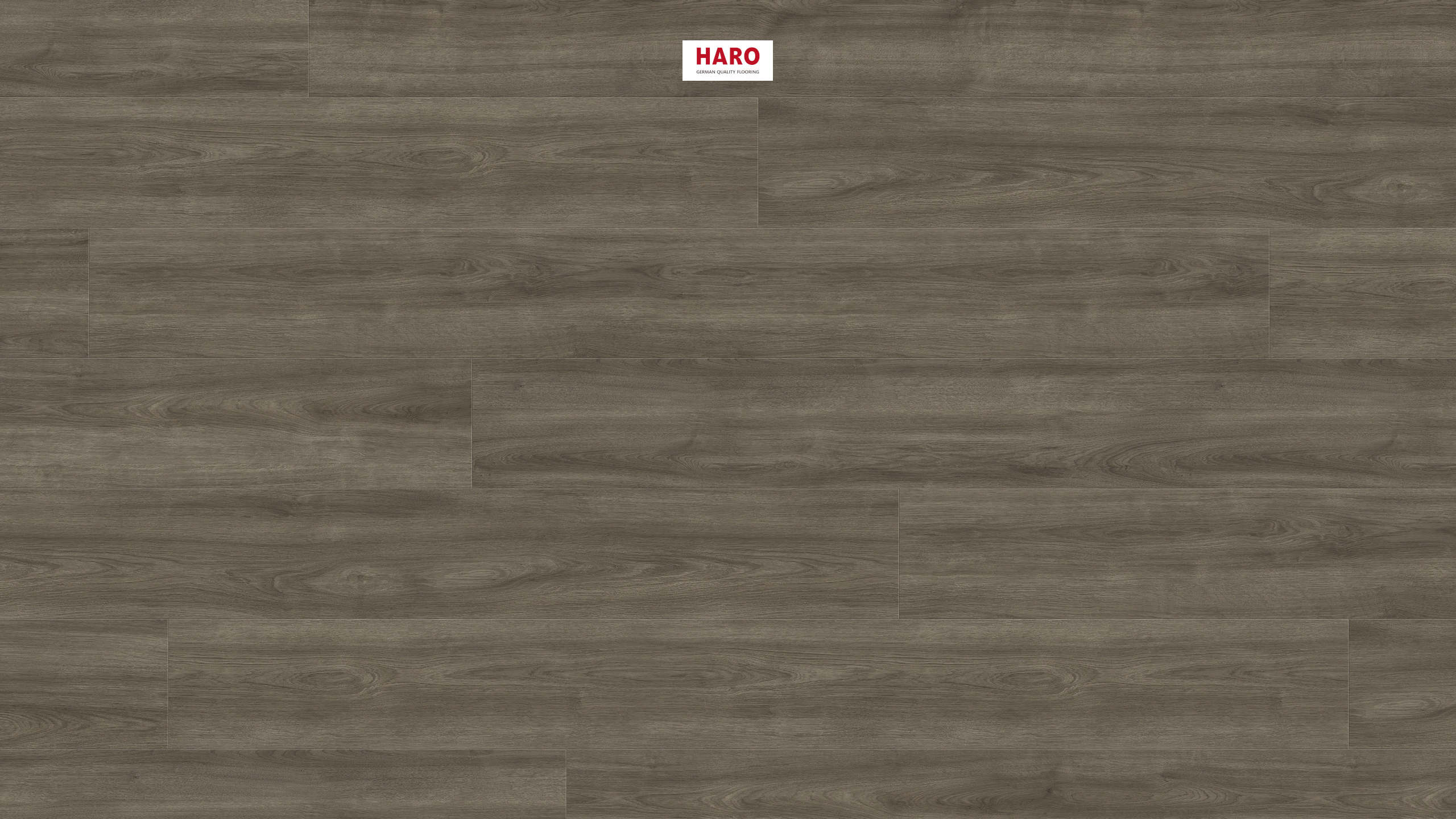 HARO Laminatgulv TRITTY 200 Aqua Gran Via 4V Eg Eleganza antikgrå* authentic Top Connect