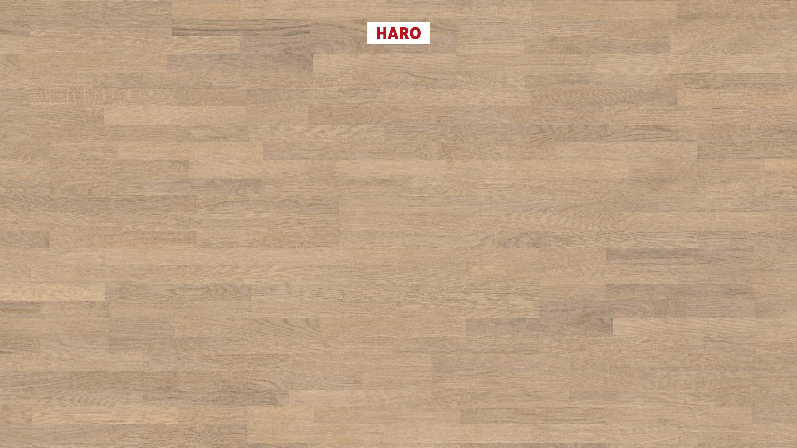 HARO PARKETGULV 4000 3 Stav Eg lysehvid Naturale børstet naturaLin plus Top Connect