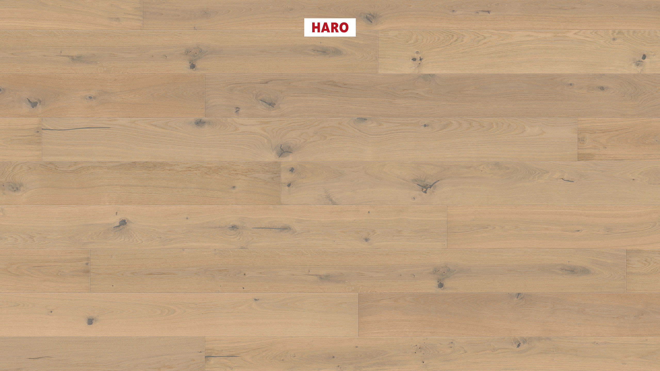 HARO PARKETGULV 4000 Plank 180 4V Eg lysehvid Sauvage børstet naturaLin plus Top Connect