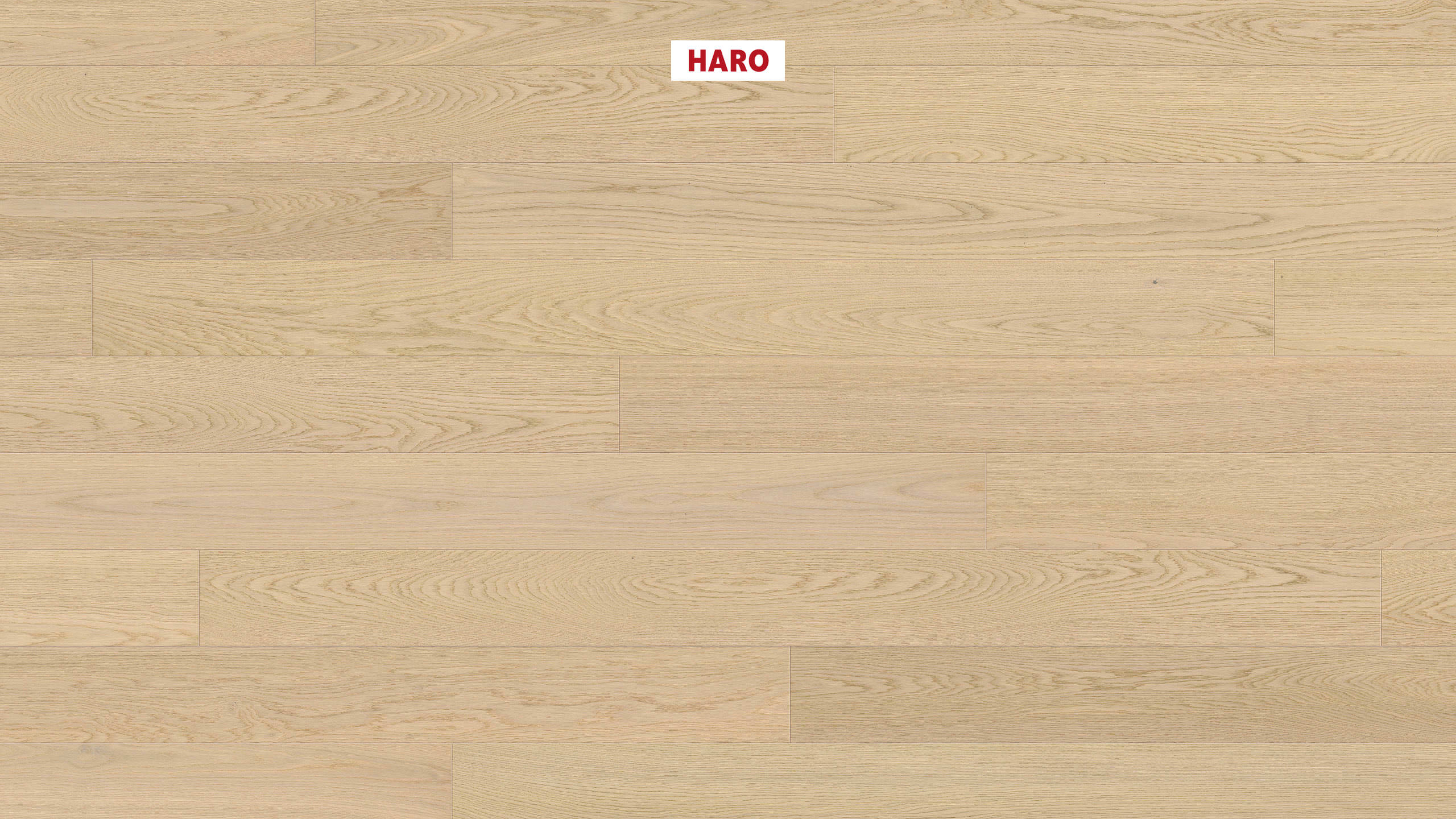 HARO PARKETGULV 4000 Plank 180 4V Eg lysehvid Exklusiv børstet naturaLin plus Top Connect