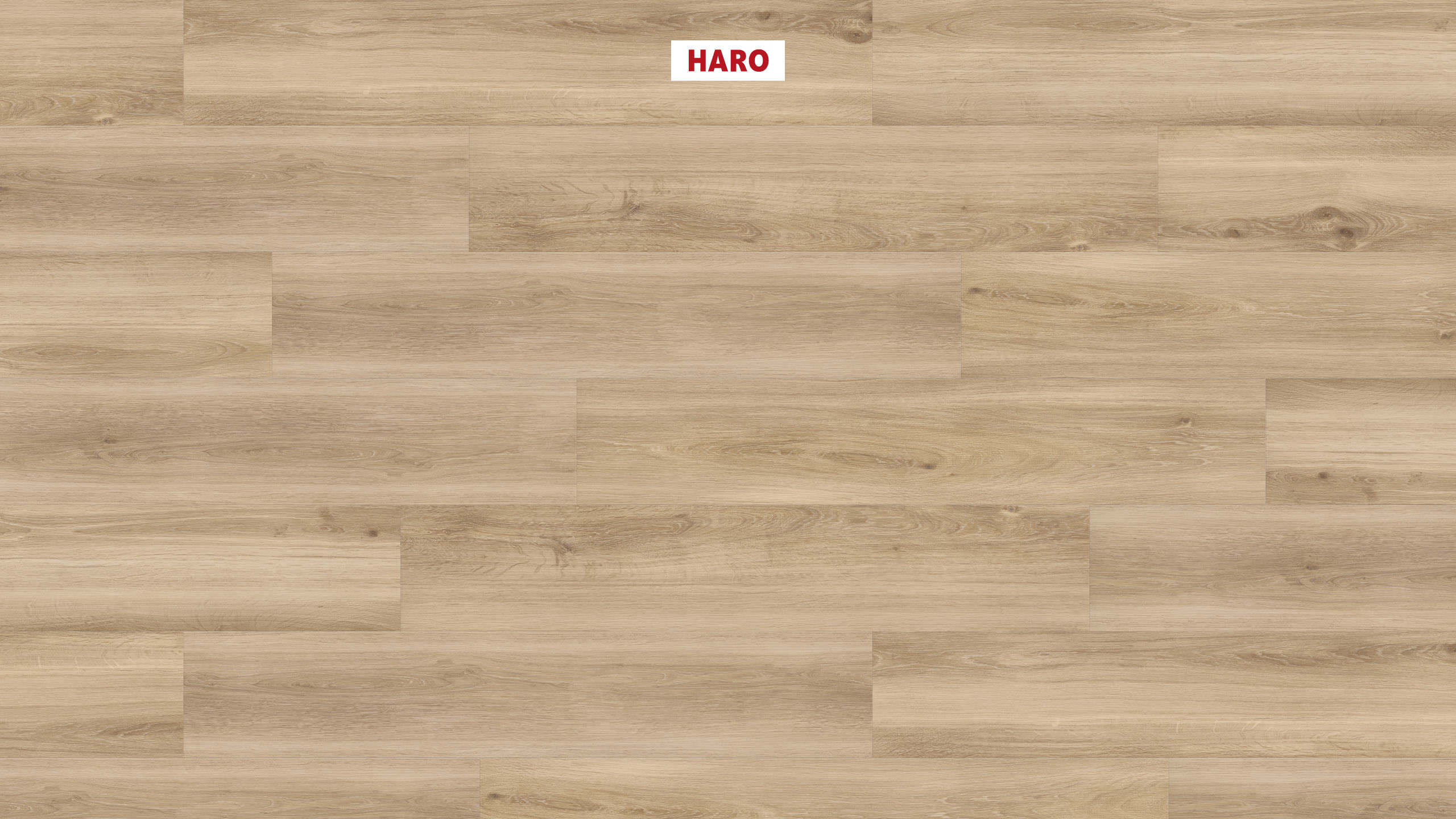 DISANO by HARO Saphir Plank 4VM Lys eg* børstet Top Connect