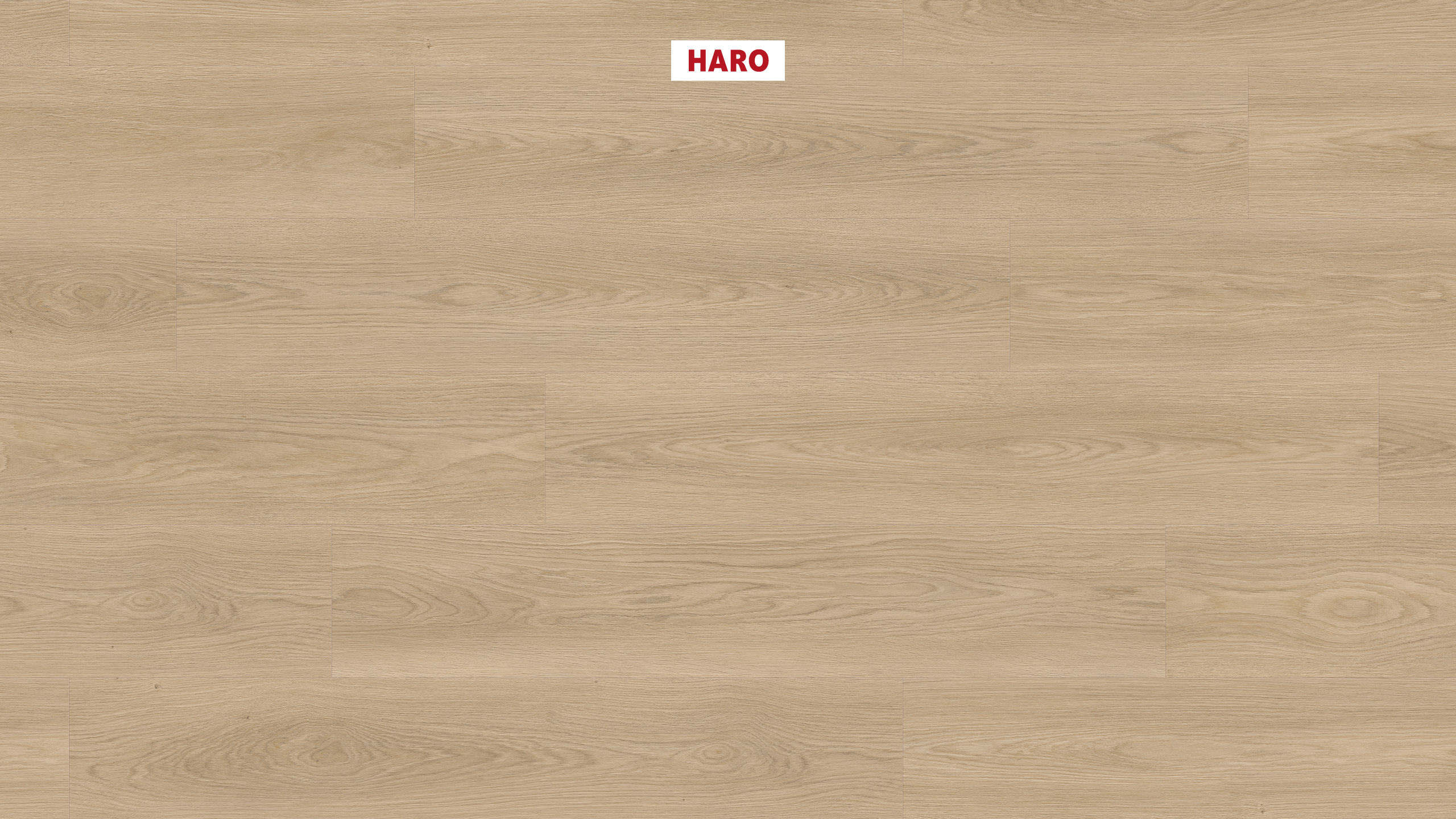 DISANO by HARO Saphir Plank 4VM Eg Picardie puro* authentic Top Connect