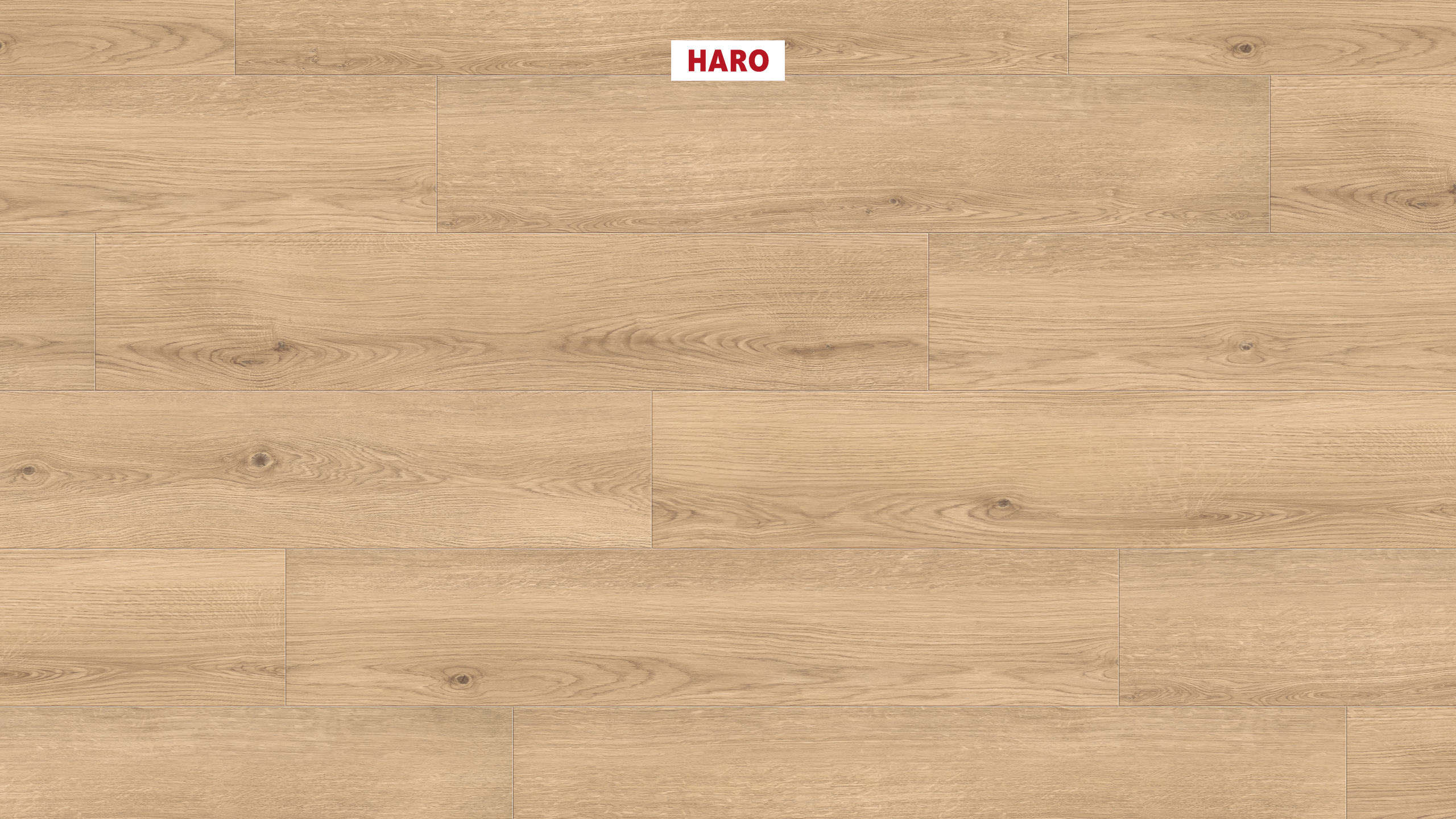 DISANO by HARO LifeAqua Plank 4V Eg Lavida* børstet Top Connect