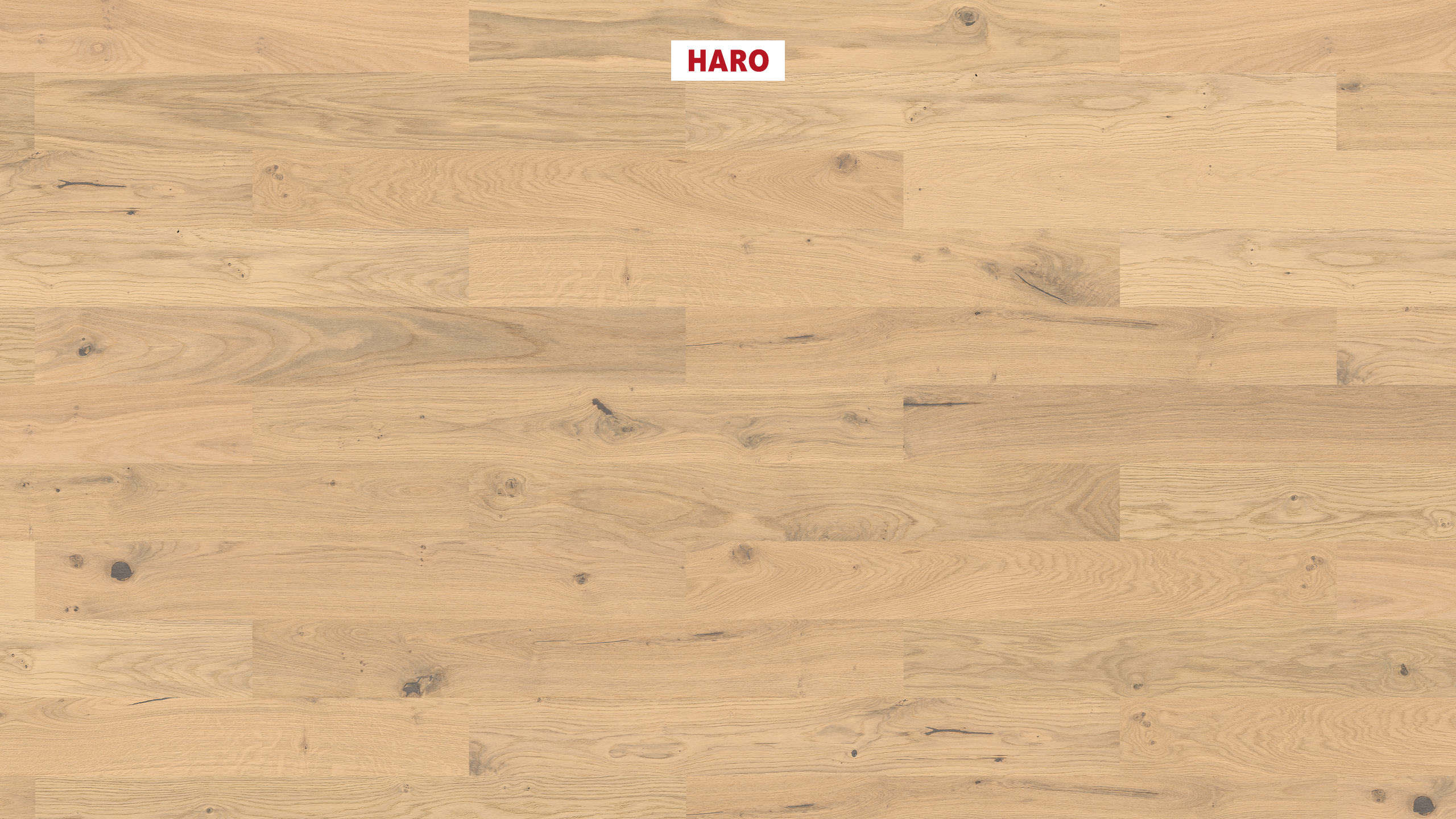 HARO PARKETGULV 4000 Plankegulv Prestige Eg invisible Sauvage børstet naturaDur Not & fer