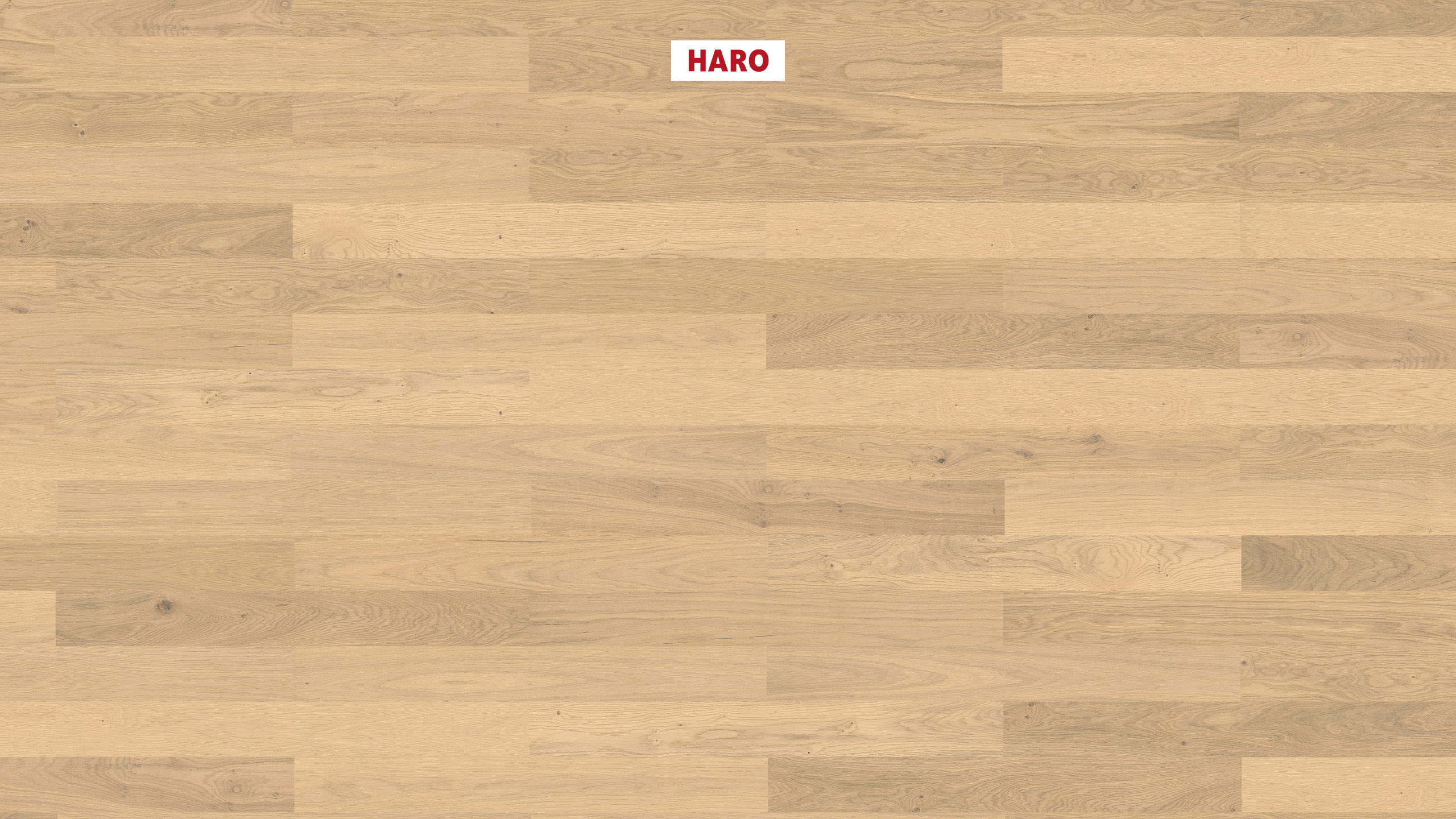 HARO PARKETGULV 4000 Stav Classico Eg invisible Trend børstet naturaDur Not & fer