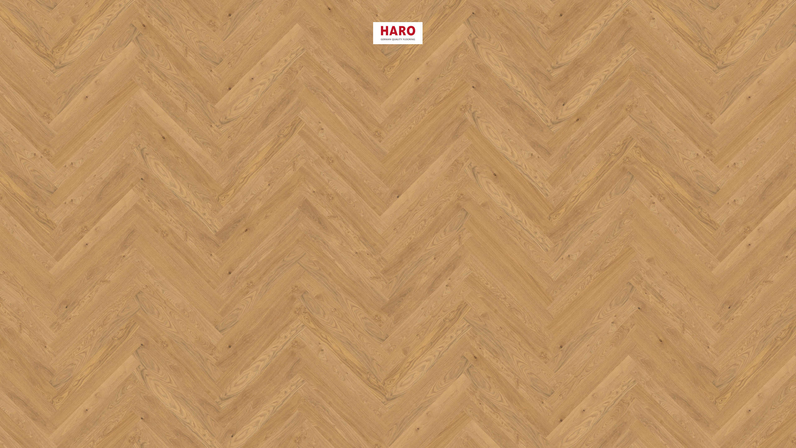 HARO PARKETGULV 4000 Stav Classico Eg Trend børstet naturaLin plus Not & fer