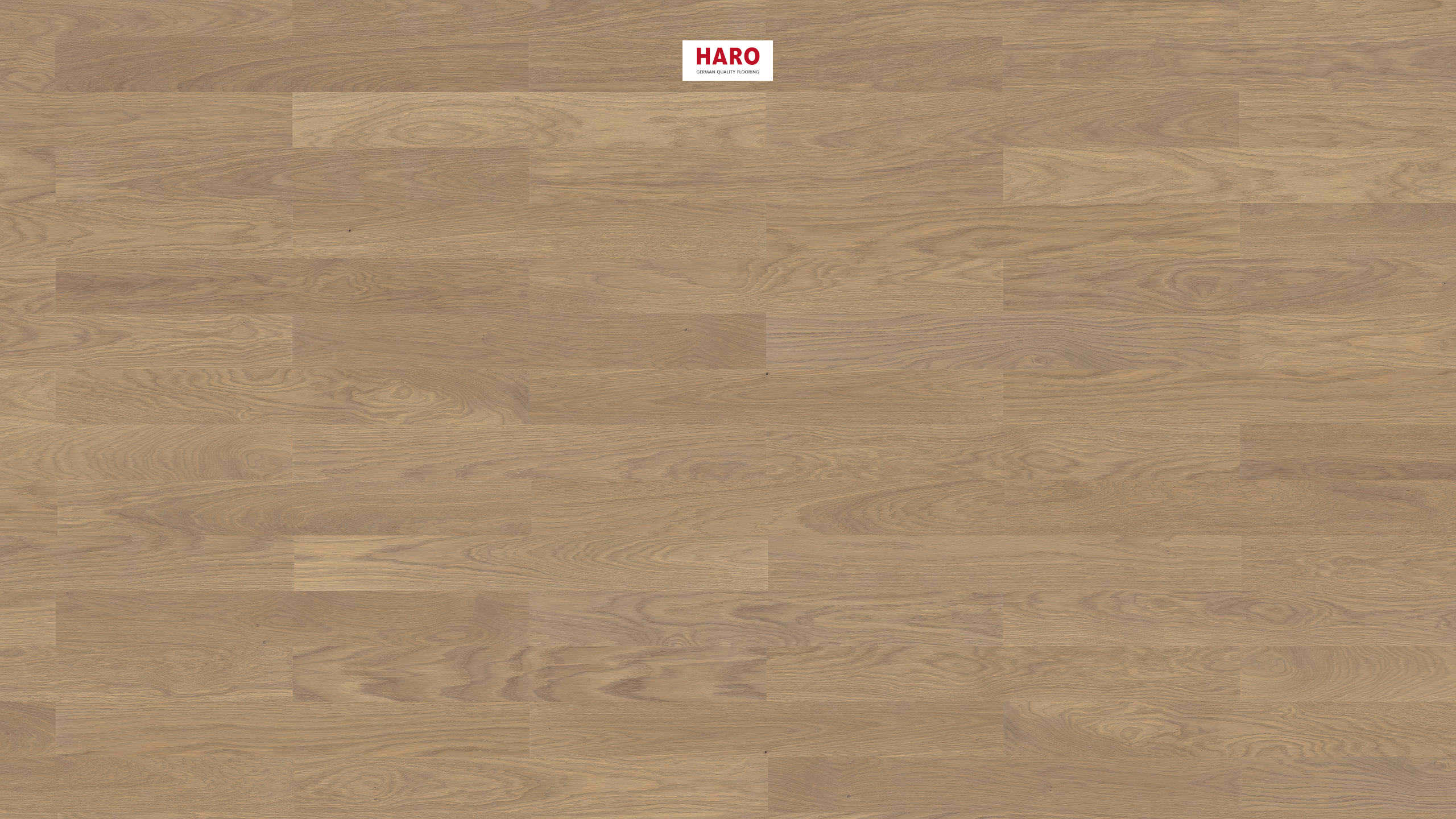HARO PARKETGULV 4000 Stav Classico Eg sand grå Naturale børstet naturaDur Not & fer