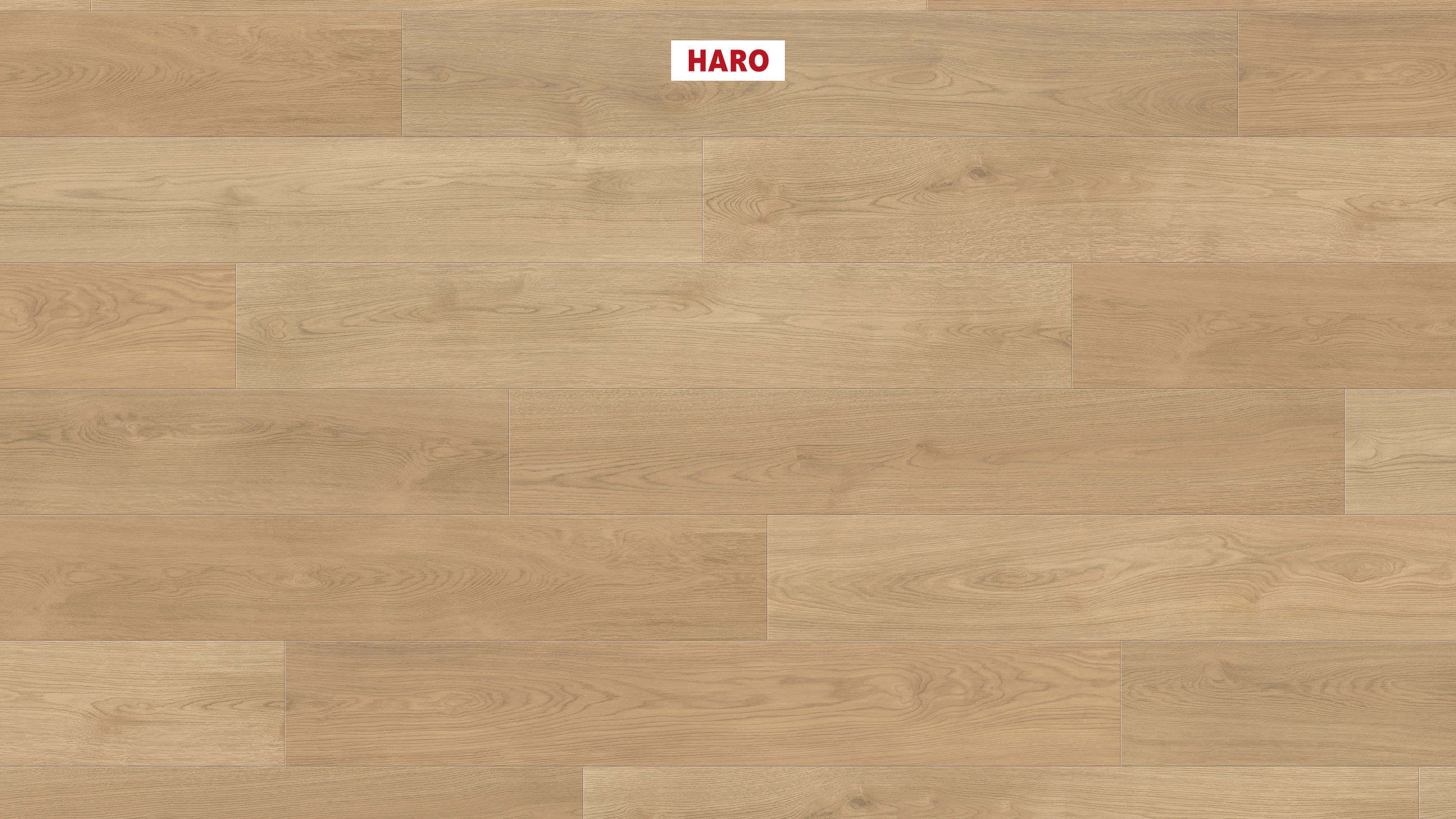HARO Designgulv Daily Edition SPC Plank 4V Eg Kalmar honning* børstet