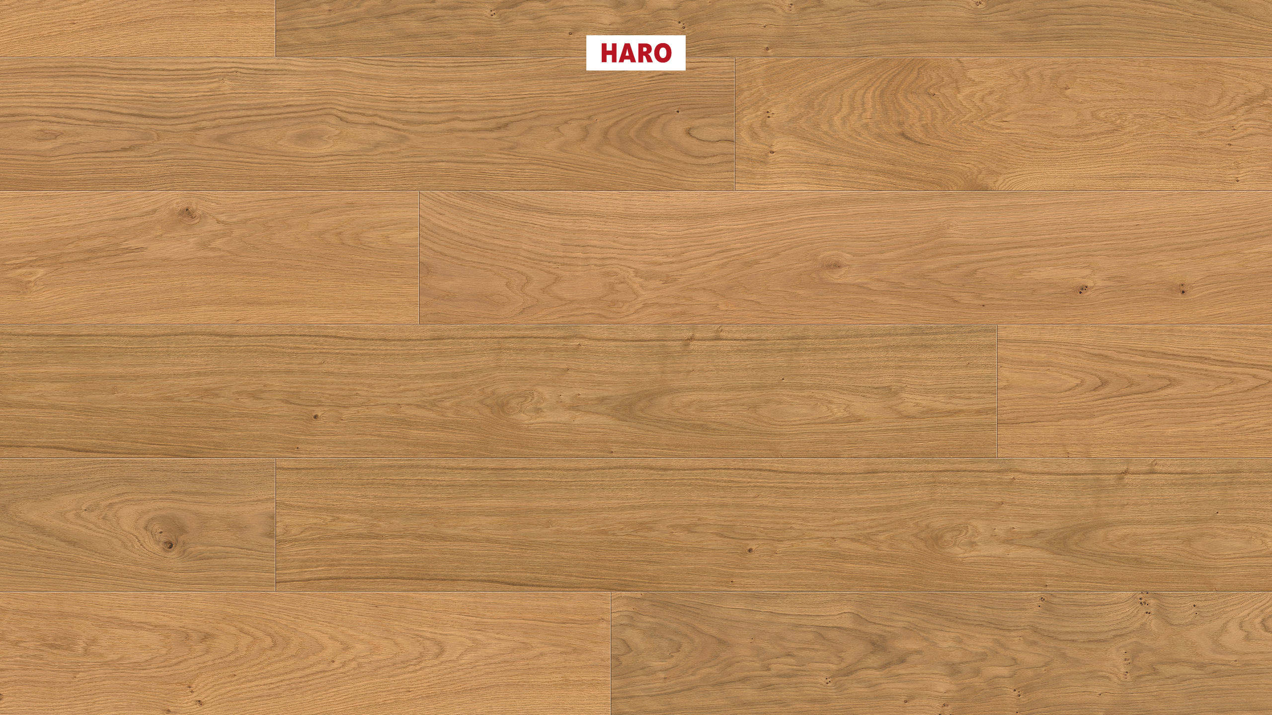 HARO Wood Performance Floor Multivo Plank 4V Eg naturlig børstet naturaDur plus Top Connect