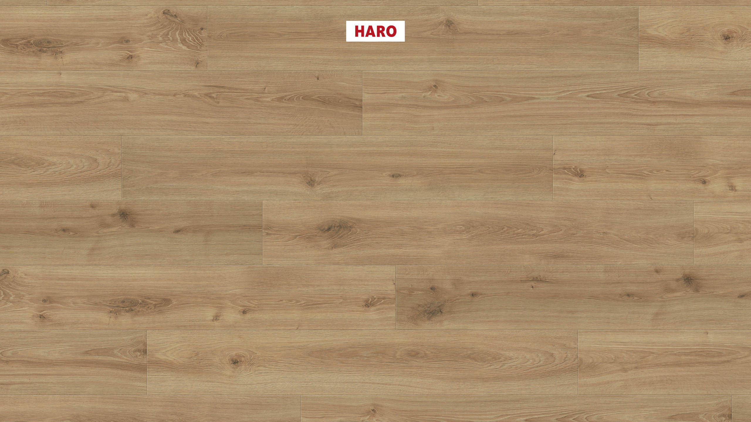 HARO Laminatgulv Specialudgave NKL31 Plank Eg Olbia* børstet mat Top Connect