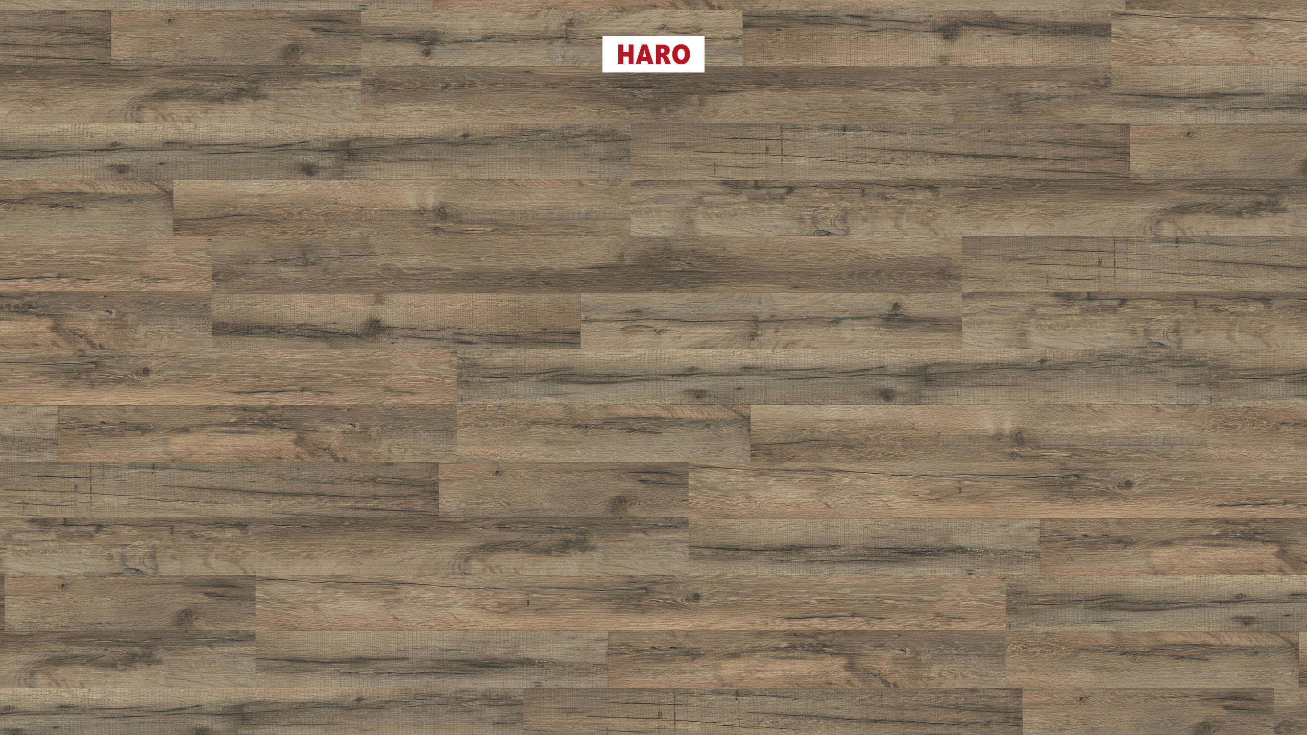 HARO Laminatgulv Specialudgave NKL31 2-stav Grafiteg* børstet mat Silent Pro Top Connect