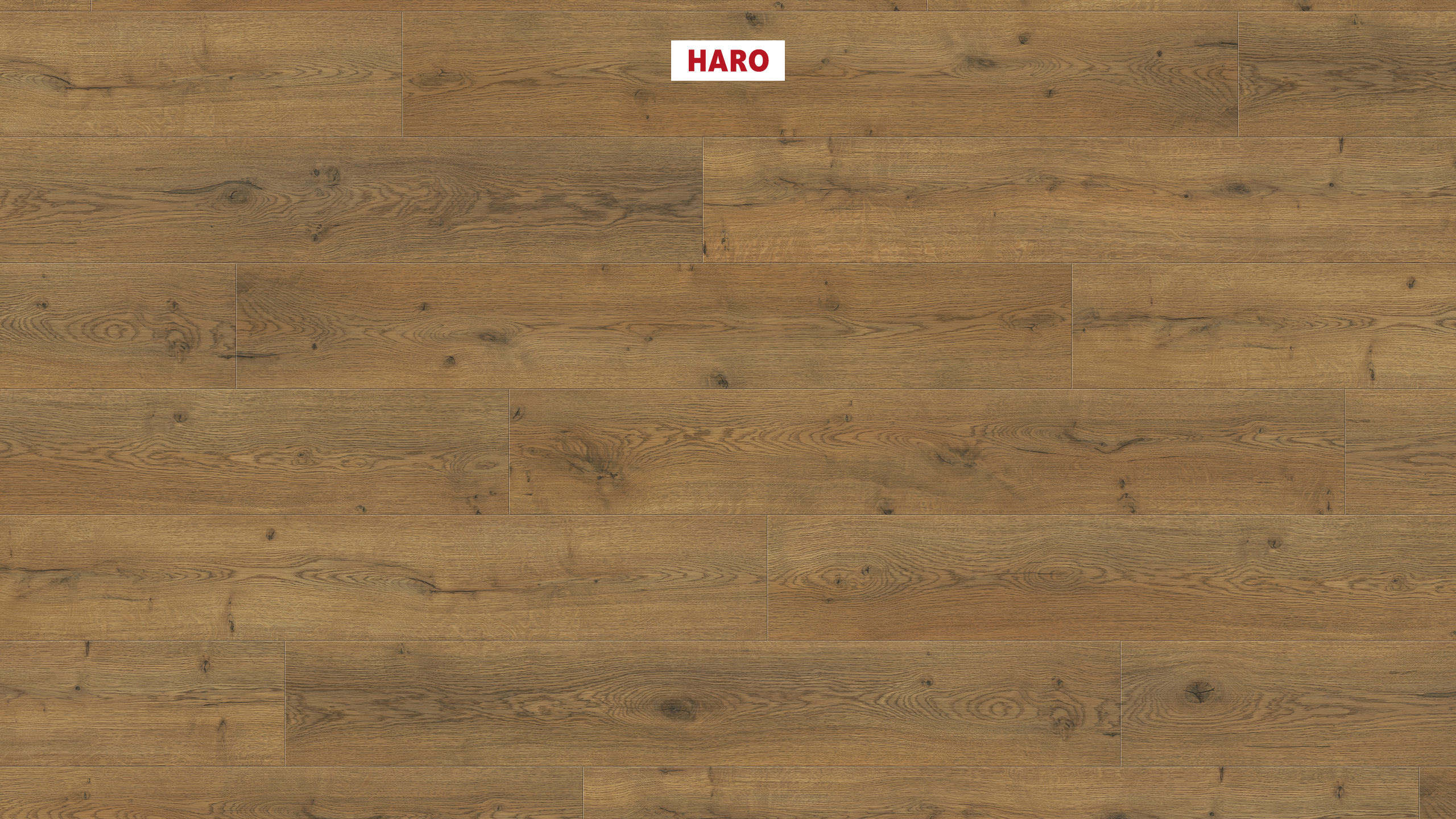 HARO Laminatgulv Specialudgave NKL31 Plank Eg Lombardia* børstet mat Silent Pro Top Connect