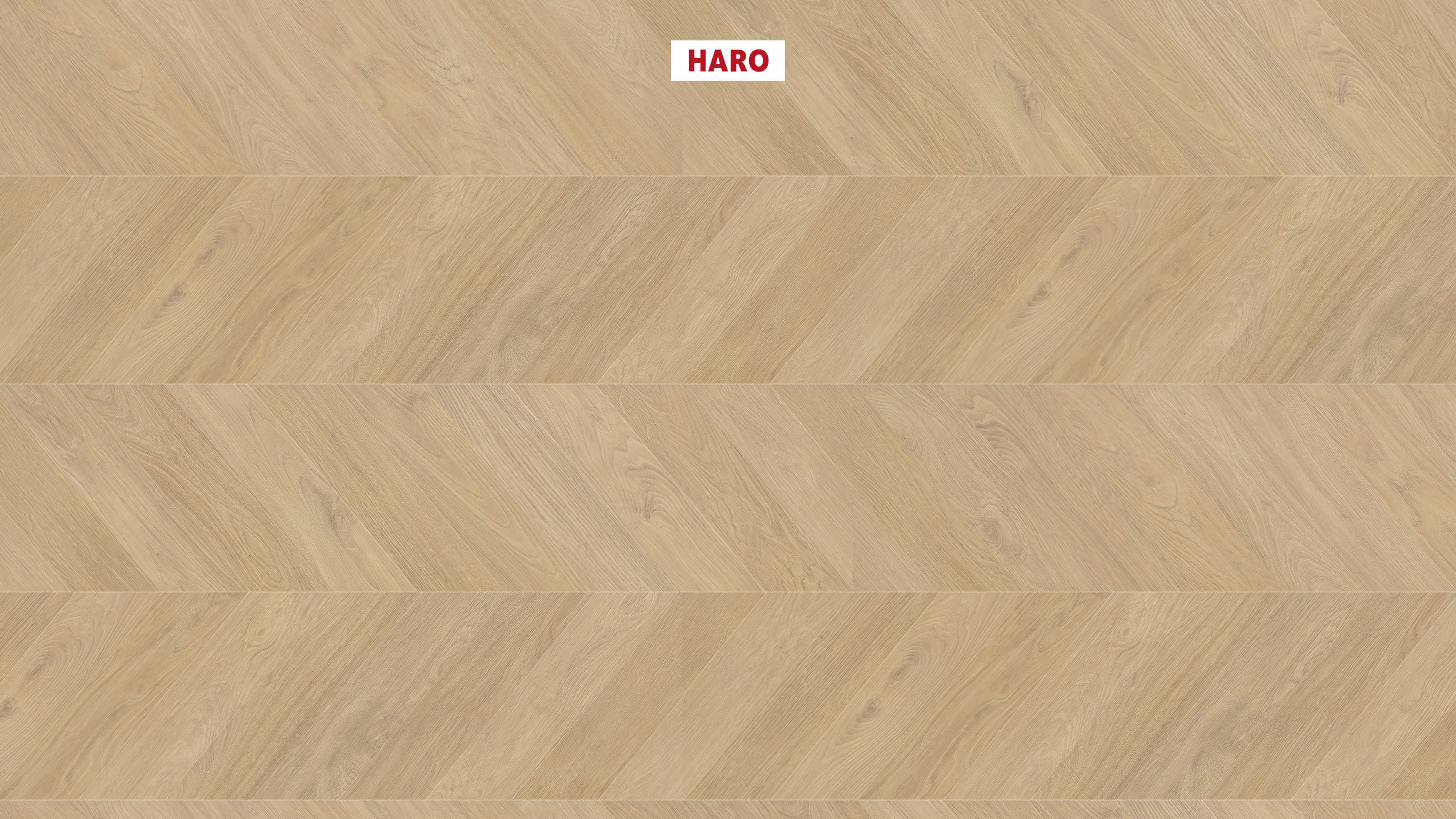 HARO Laminatgulv TRITTY 200 Aqua Chevron 4VM Eg puro* authentic Lock Connect plus