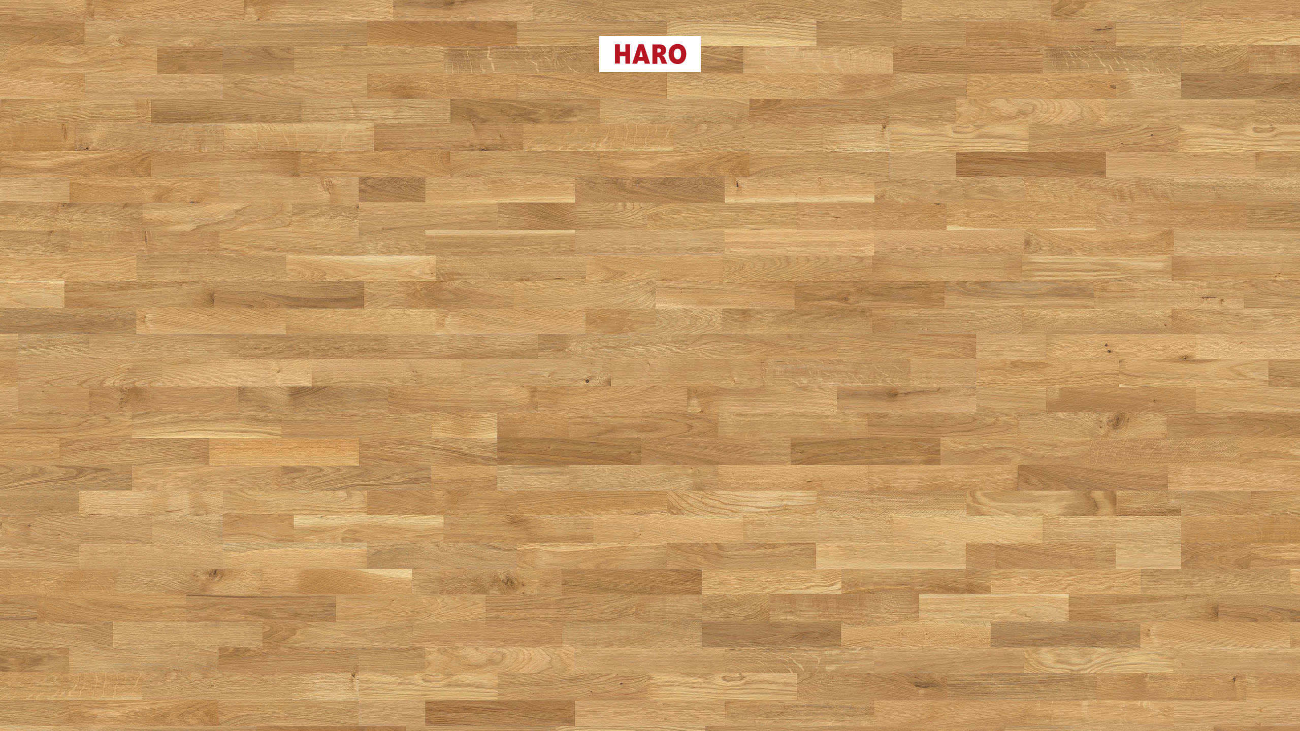HARO PARKETGULV 12mm HDF 3 Stav Eg Köln børstet naturaLin plus Top Connect