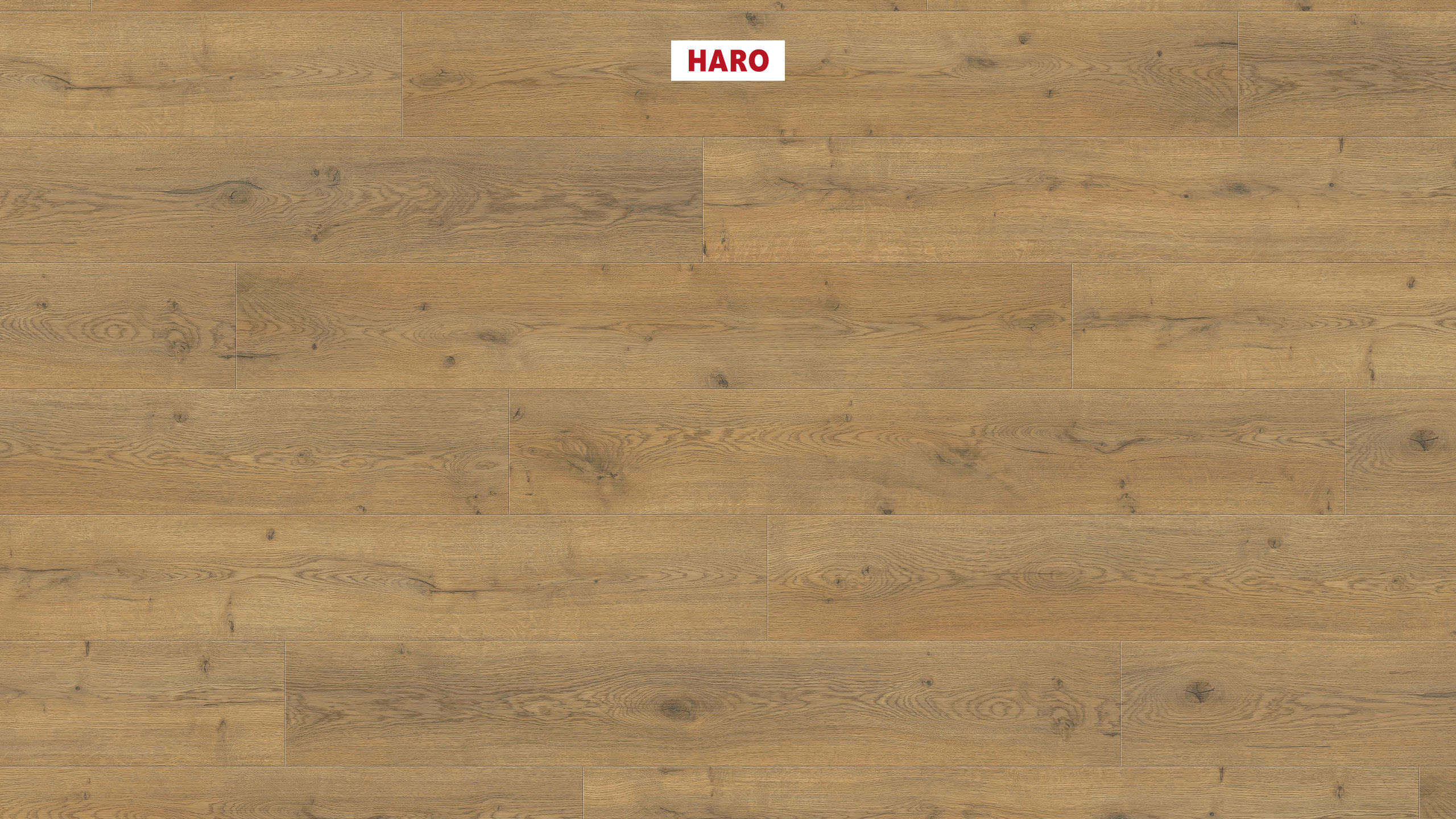 HARO Laminatgulv 7 mm Plank Eg Kiel* børstet mat Top Connect