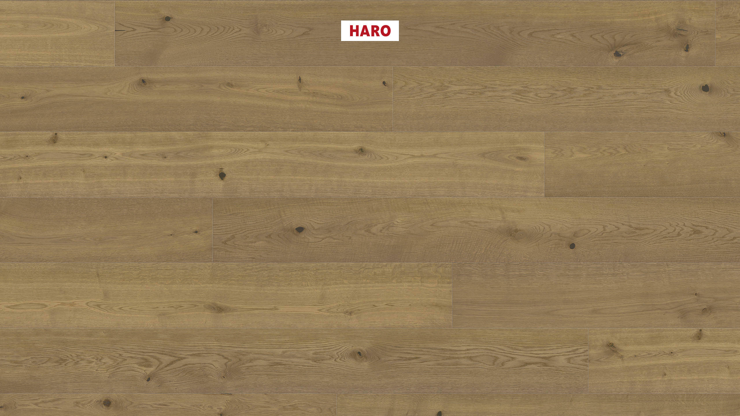 HARO PARKETGULV 4000 Plank Plaza 240 4V Afrikansk eg light invisible Universal børstet naturaLin plus Top Connect