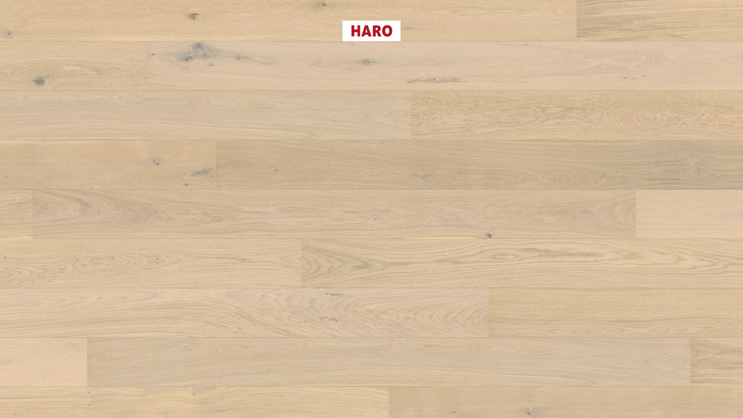 HARO PARKETGULV 2500 Plank 180 2V Eg lysehvid Universal børstet naturaDur Top Connect