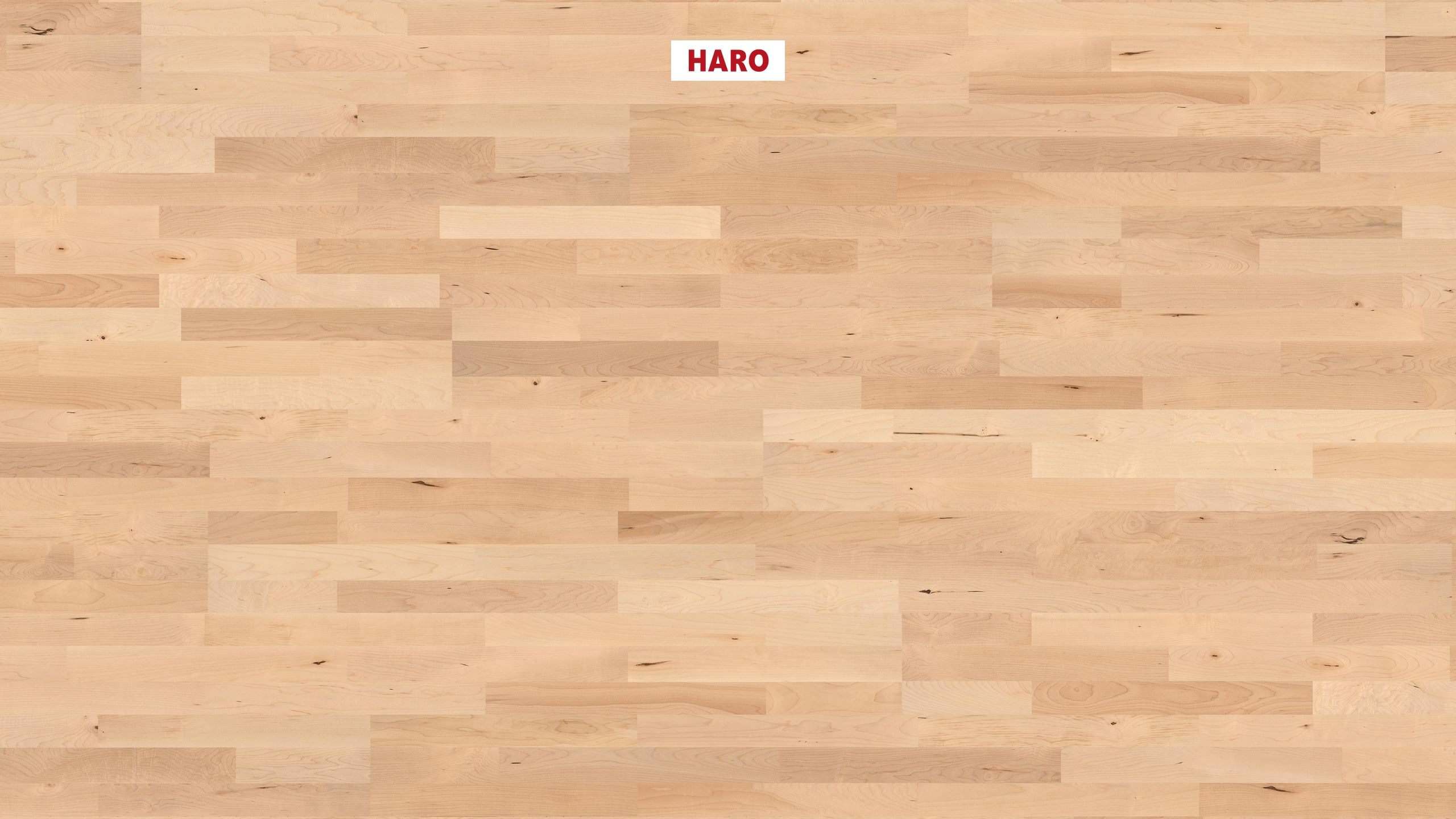 HARO PARKETGULV 4000 3 Stav Canadisk Ahorn Favorit naturaDur Top Connect