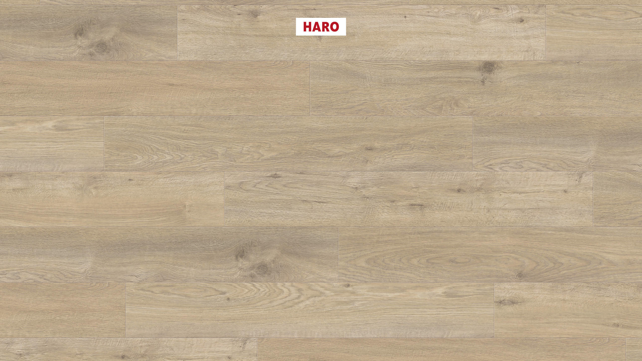 DISANO by HARO WaveAqua Plank 4V Eg Whistler pebble grey* authentic Top Connect