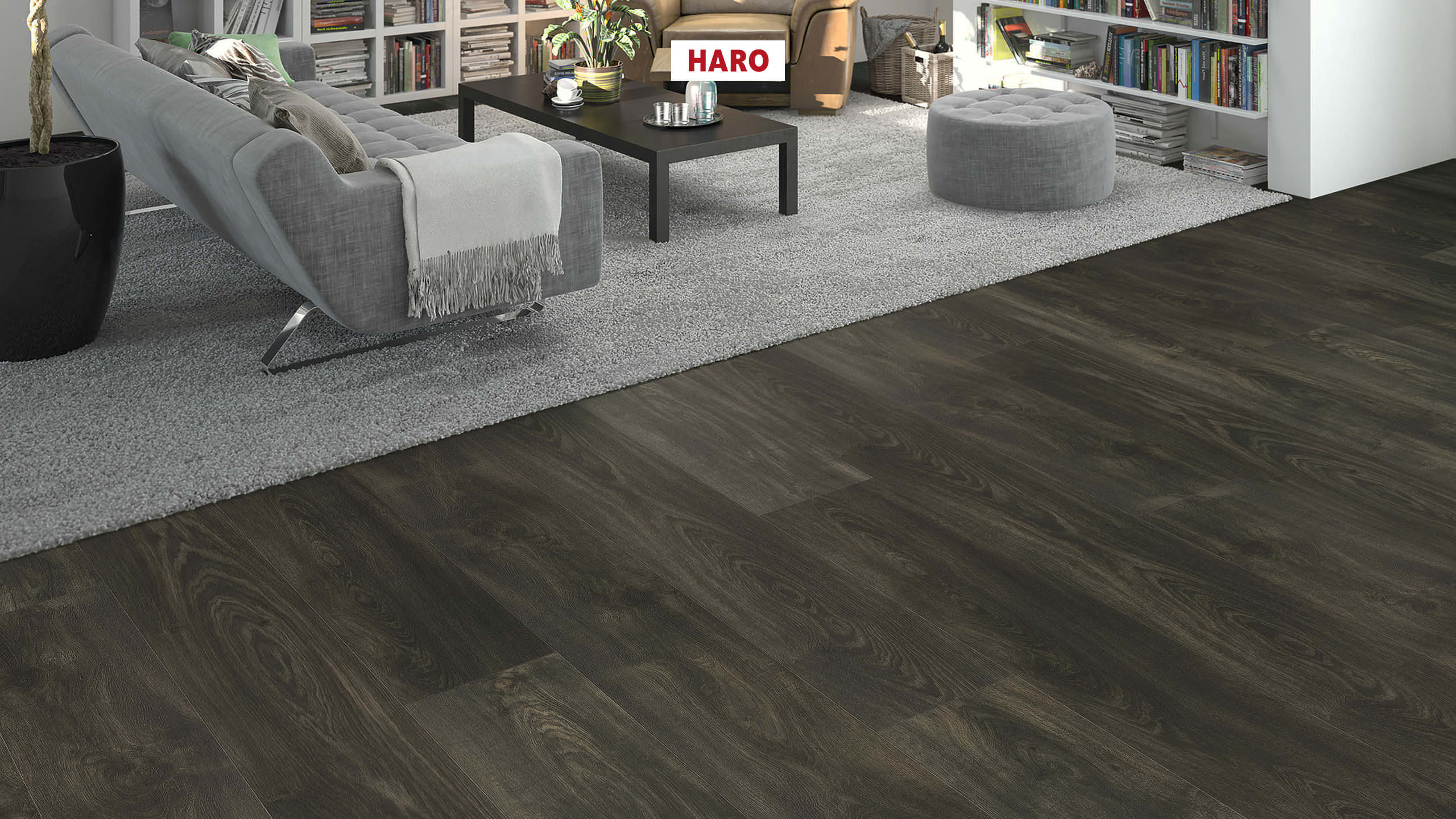 DISANO by HARO WaveAqua Plank XL 4V Eg Whistler basalt* authentic Top Connect