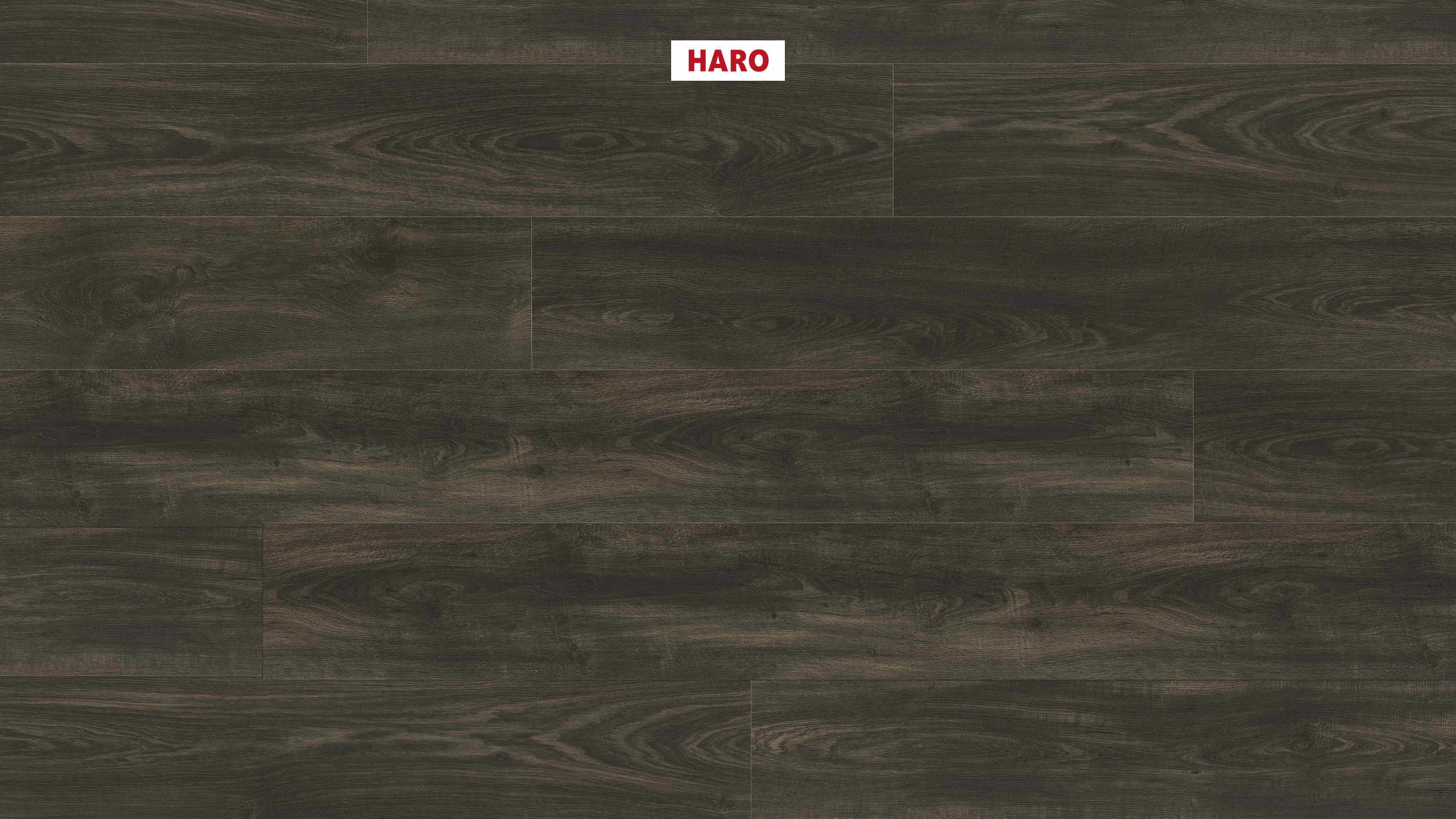 DISANO by HARO WaveAqua Plank XL 4V Eg Whistler basalt* authentic Top Connect