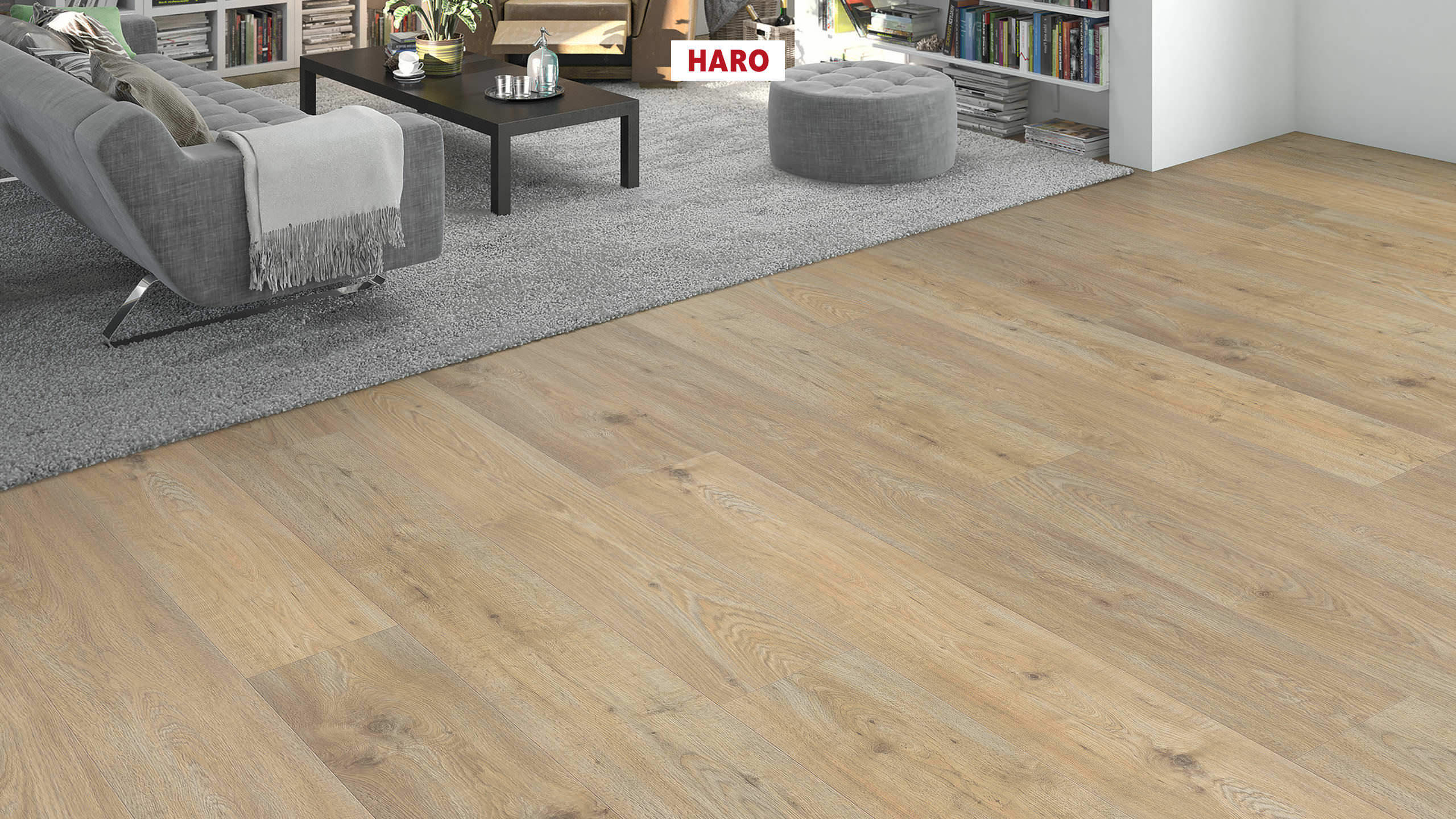 DISANO by HARO WaveAqua Plank XL 4V Eg Quebec alabaster* authentic Top Connect