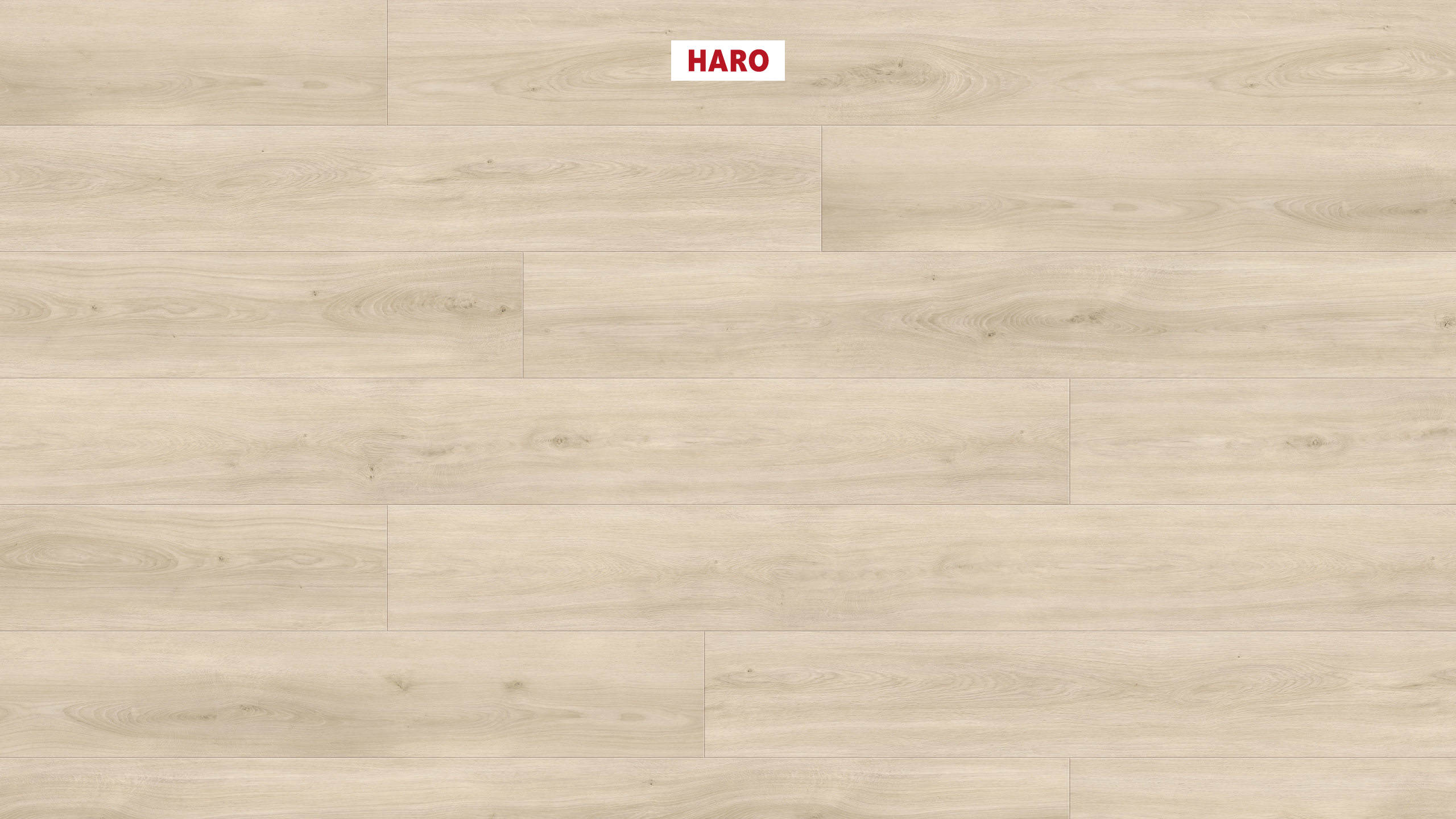 DISANO by HARO ClassicAqua Plank XL 4V Eg Sheffield cremehvid* authentic Top Connect